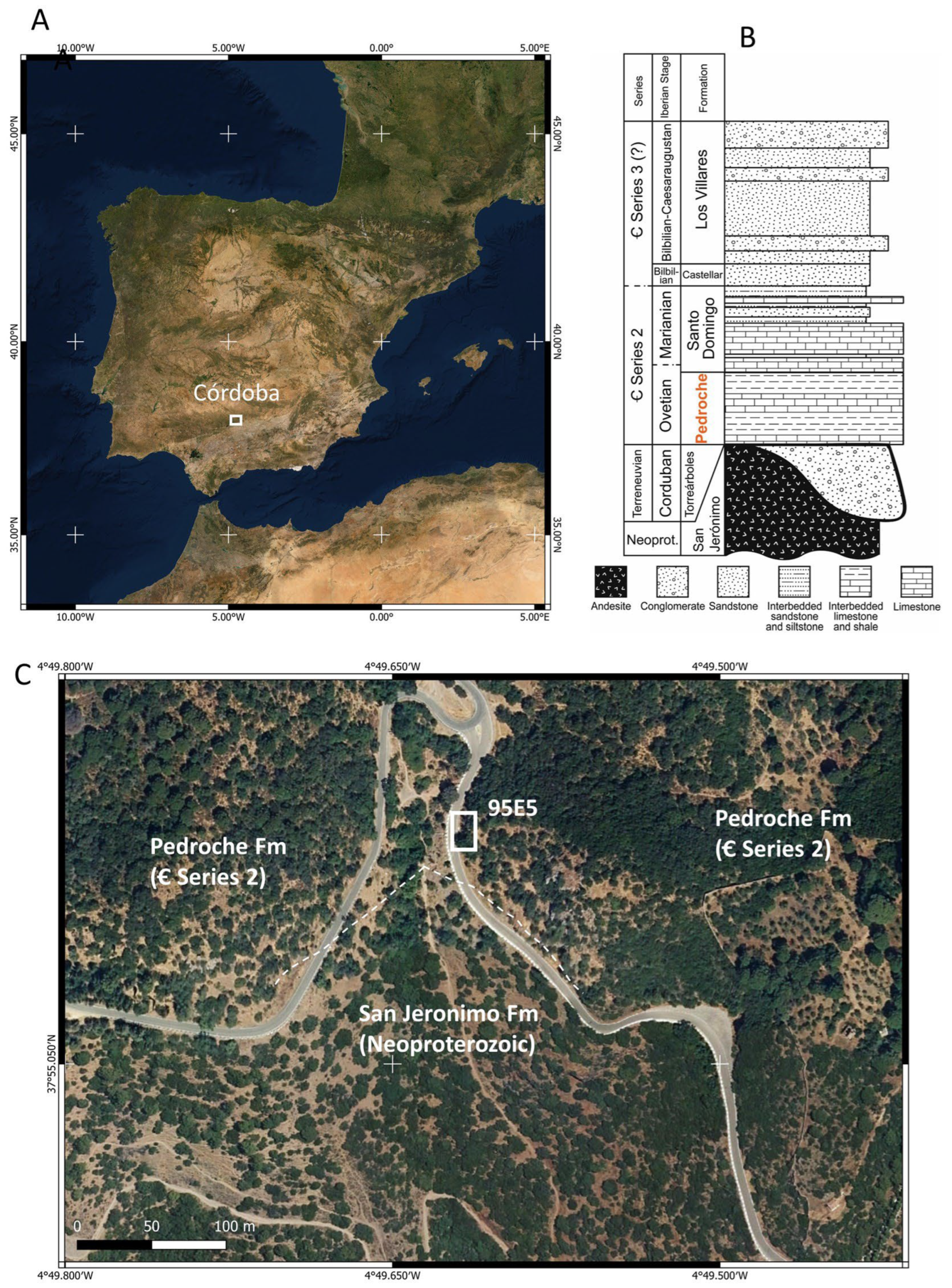 Microorganisms 12 00513 g001 Microorganisms 12 00513 g001