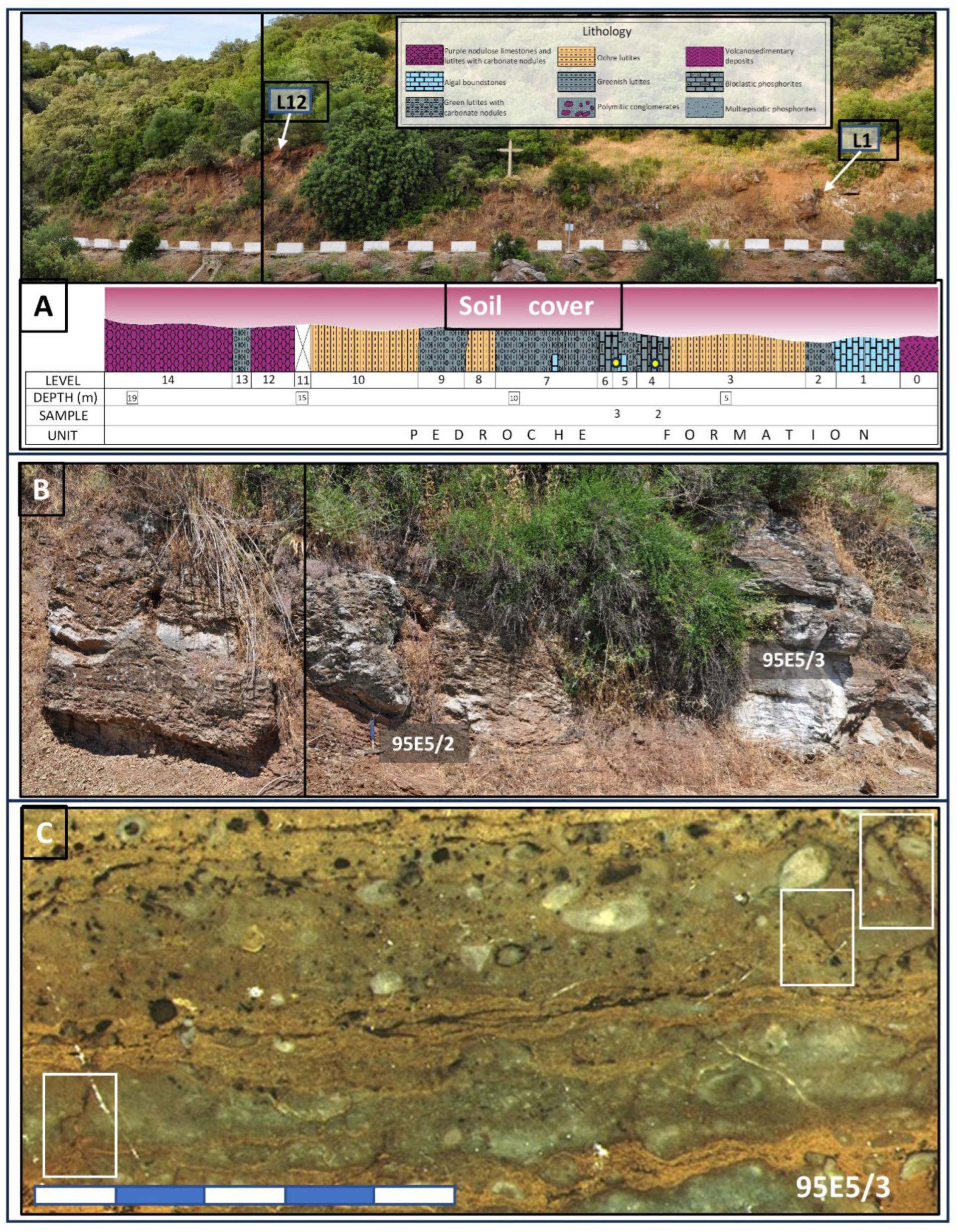 Microorganisms 12 00513 g002 Microorganisms 12 00513 g002