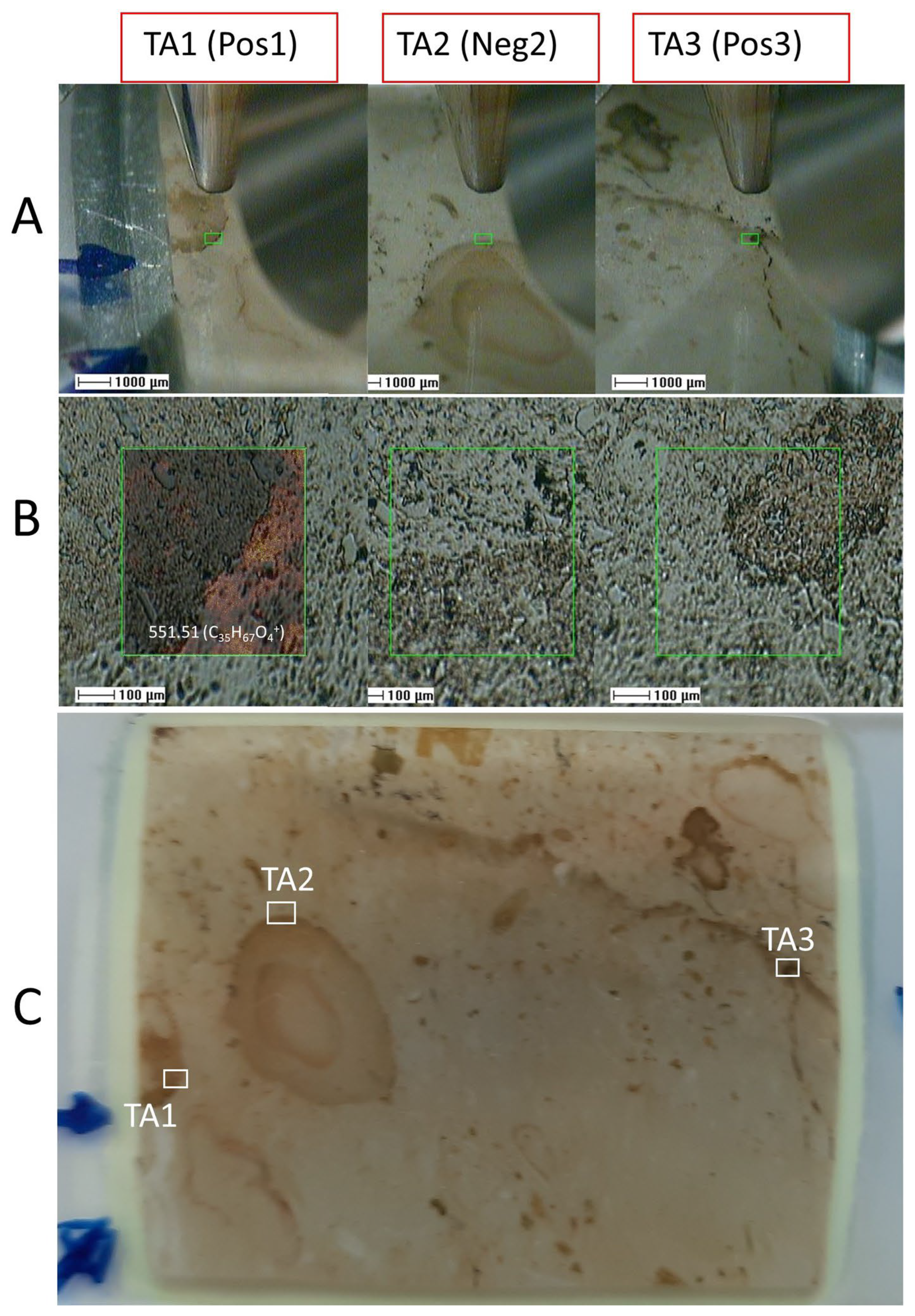 Microorganisms 12 00513 g006 Microorganisms 12 00513 g006