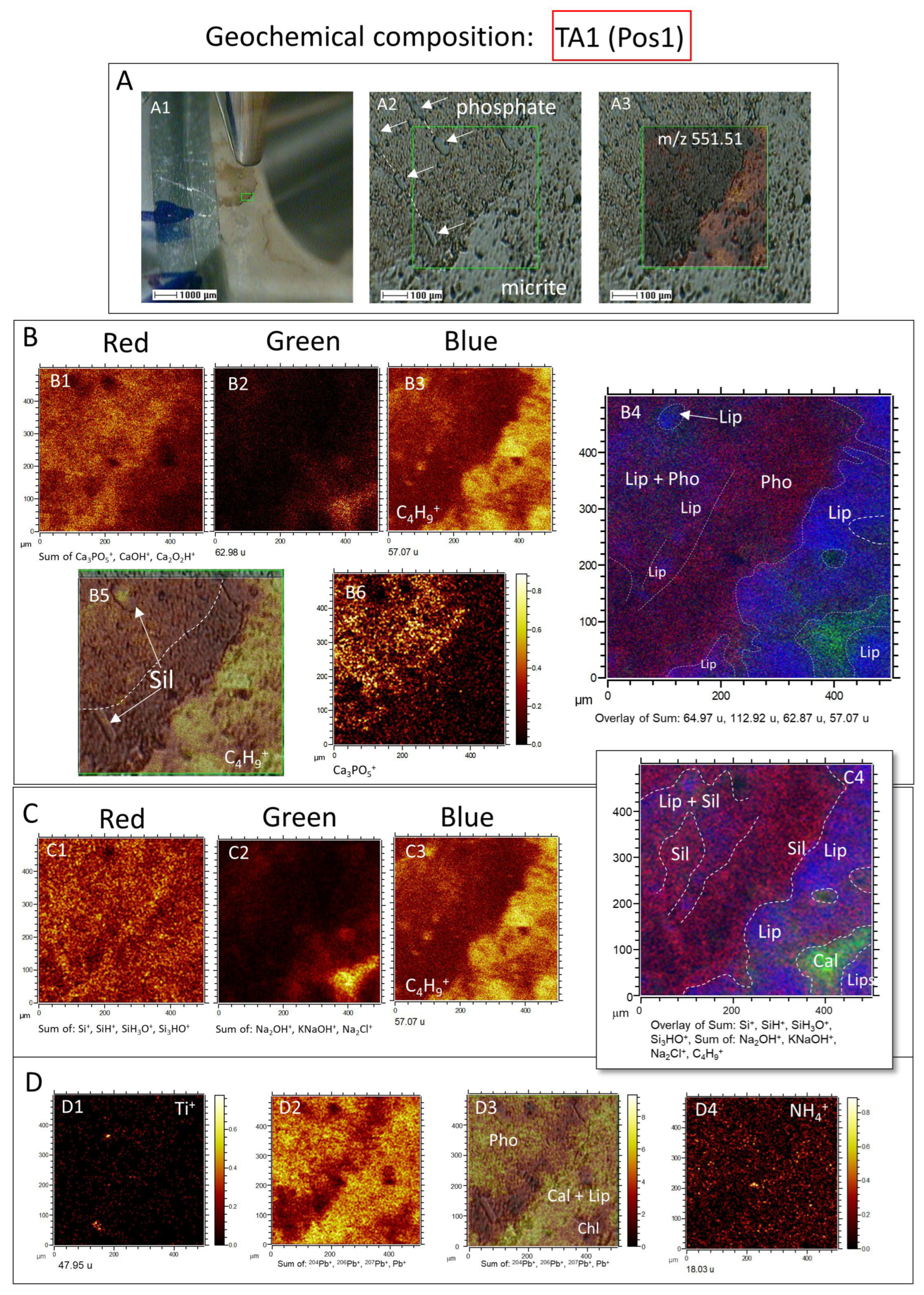 Microorganisms 12 00513 g007 Microorganisms 12 00513 g007