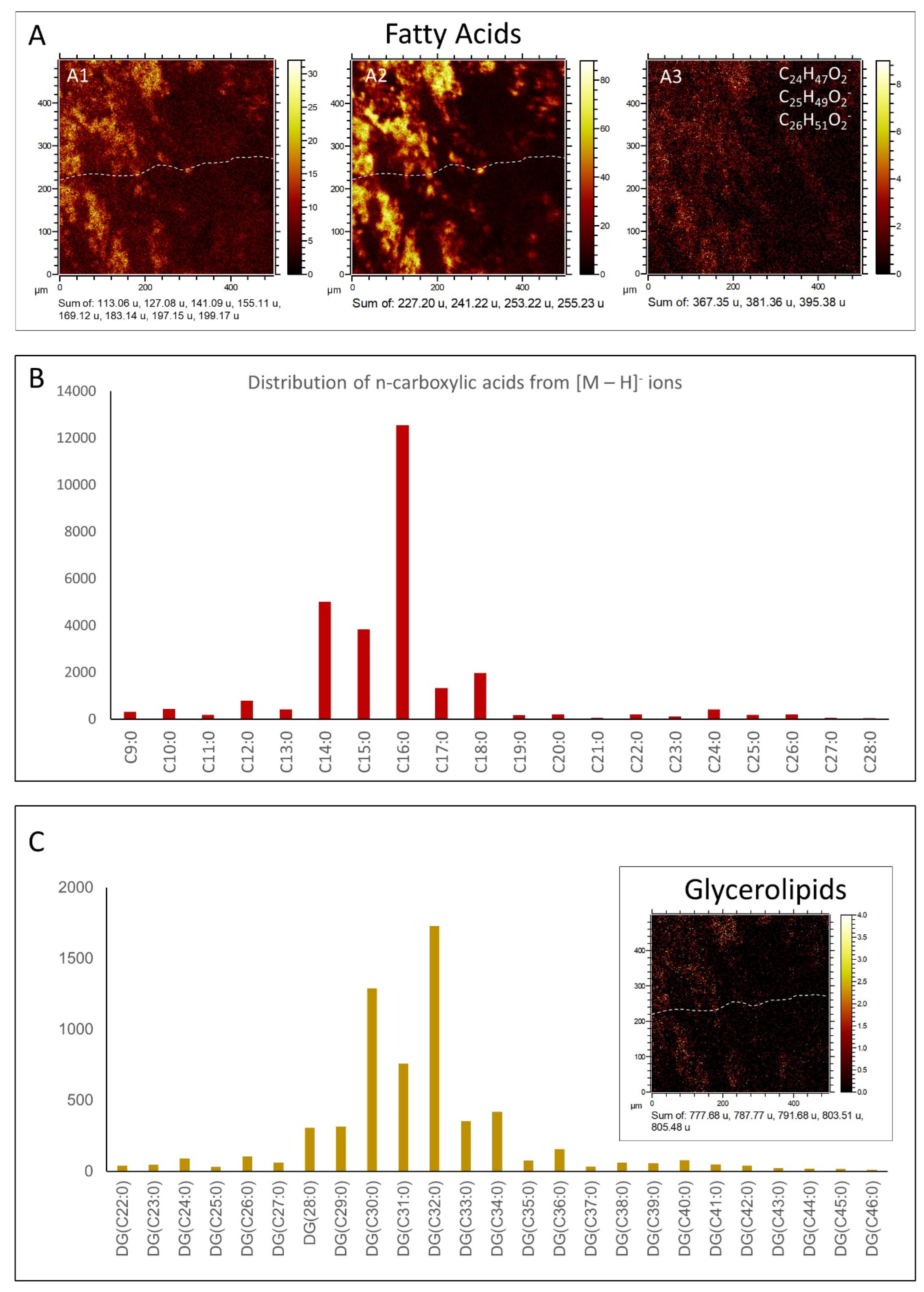 Microorganisms 12 00513 g010 Microorganisms 12 00513 g010