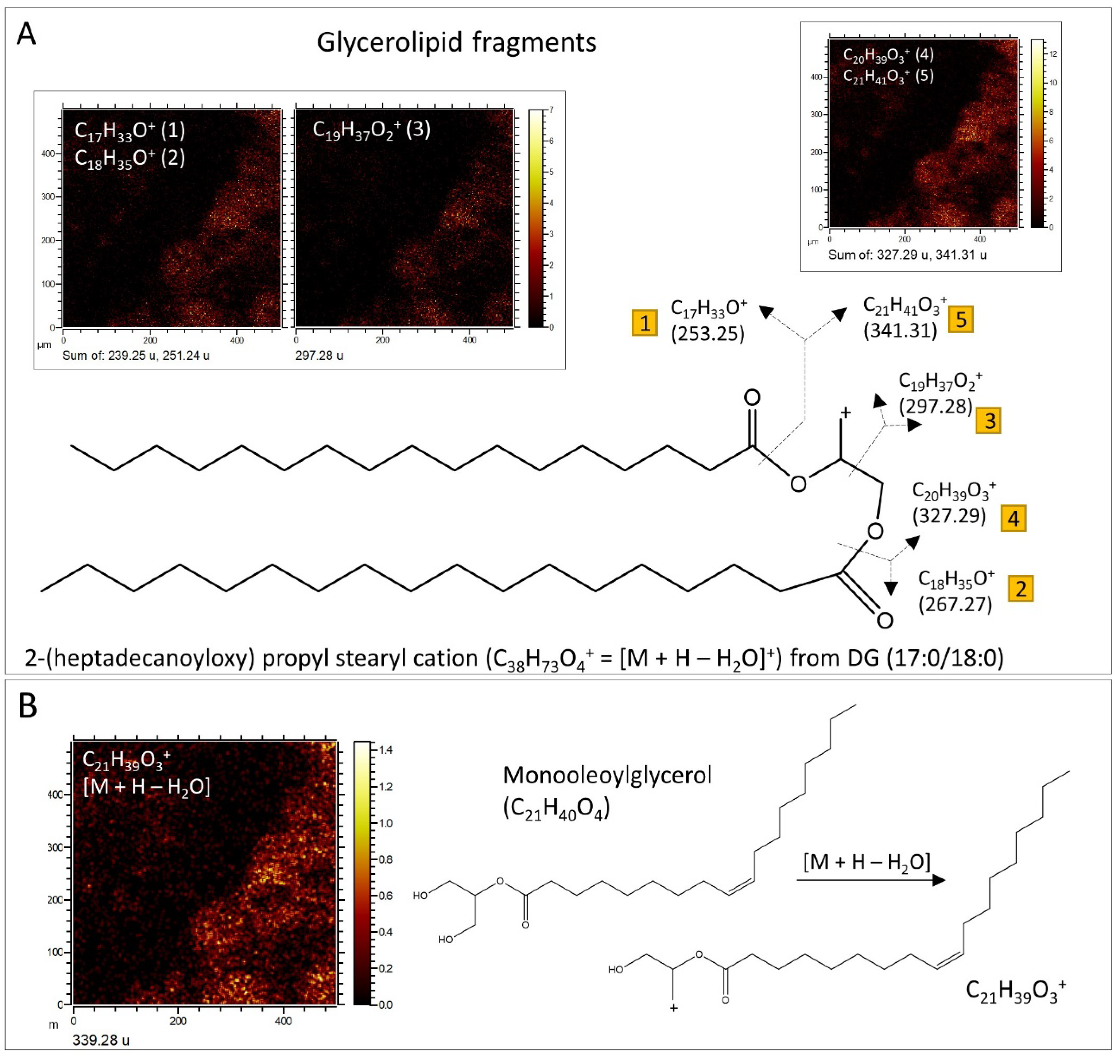 Microorganisms 12 00513 g011 Microorganisms 12 00513 g011