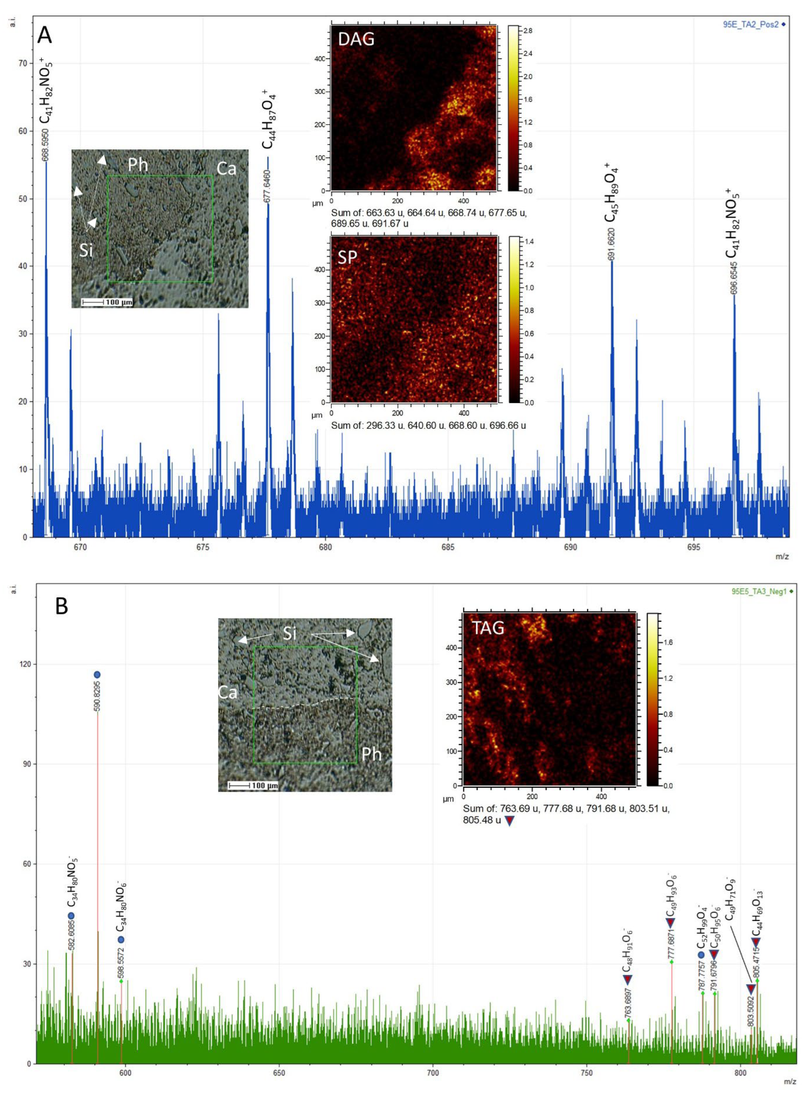 Microorganisms 12 00513 g012 Microorganisms 12 00513 g012