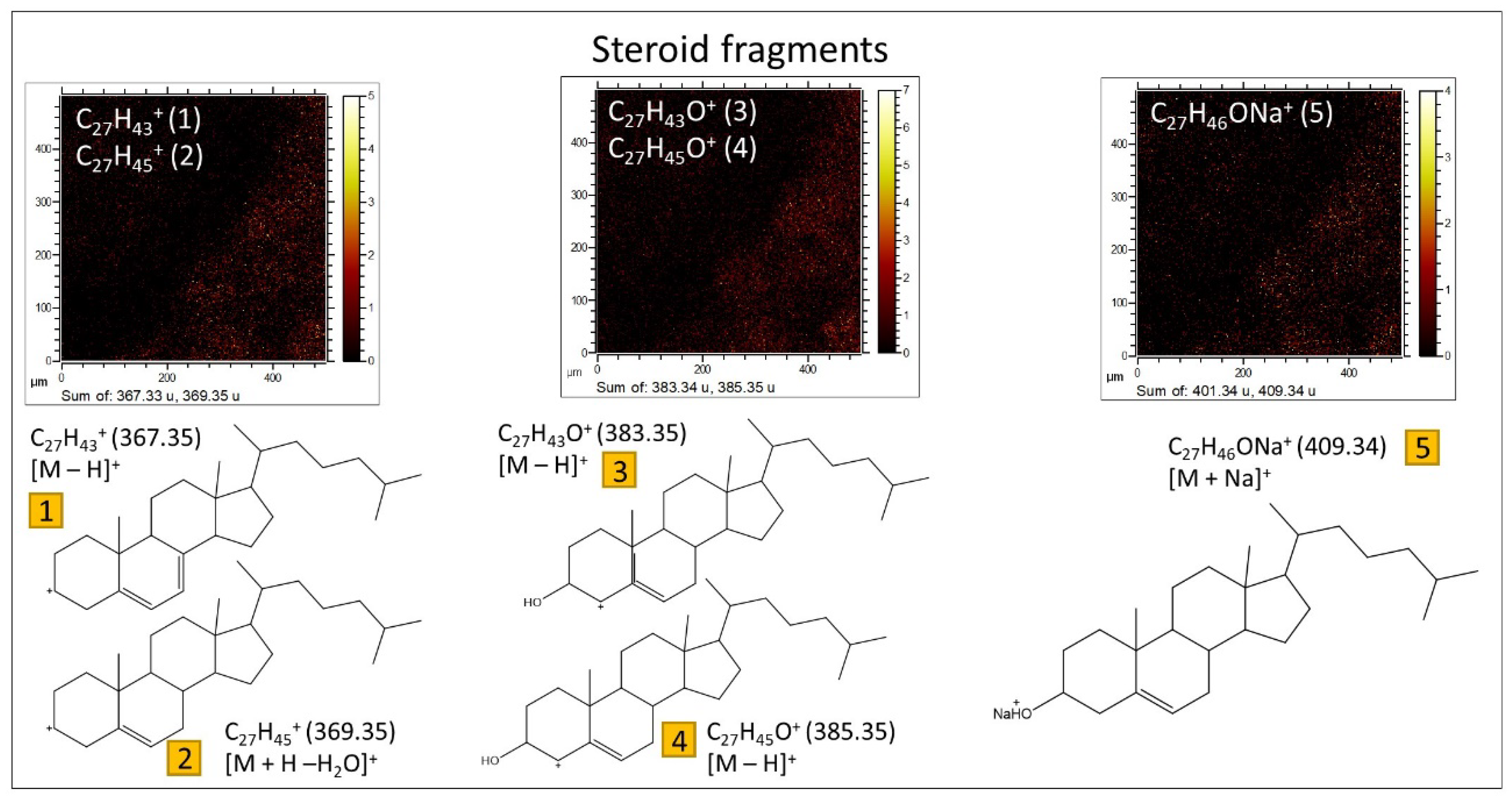 Microorganisms 12 00513 g013 Microorganisms 12 00513 g013