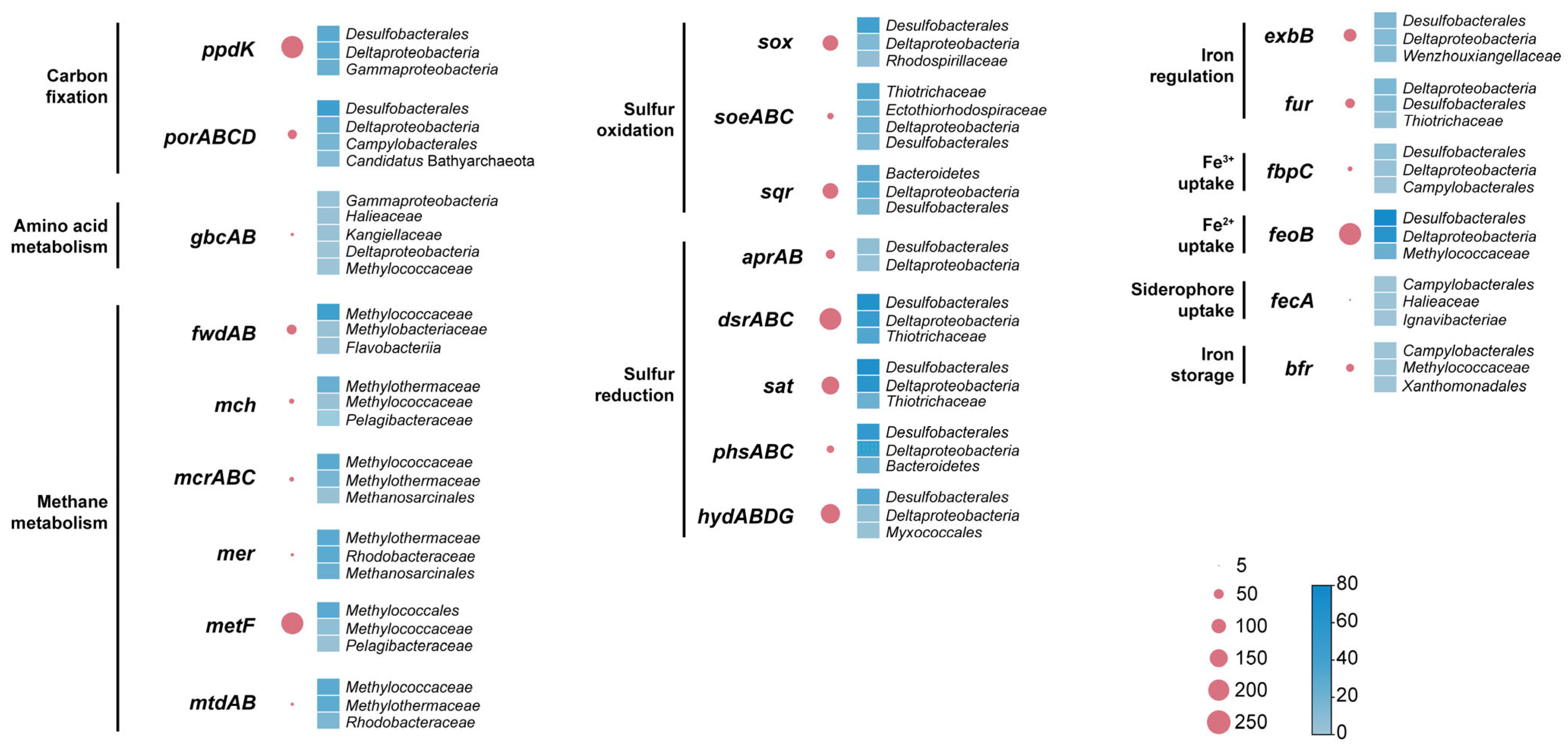 Microorganisms 12 00517 g003