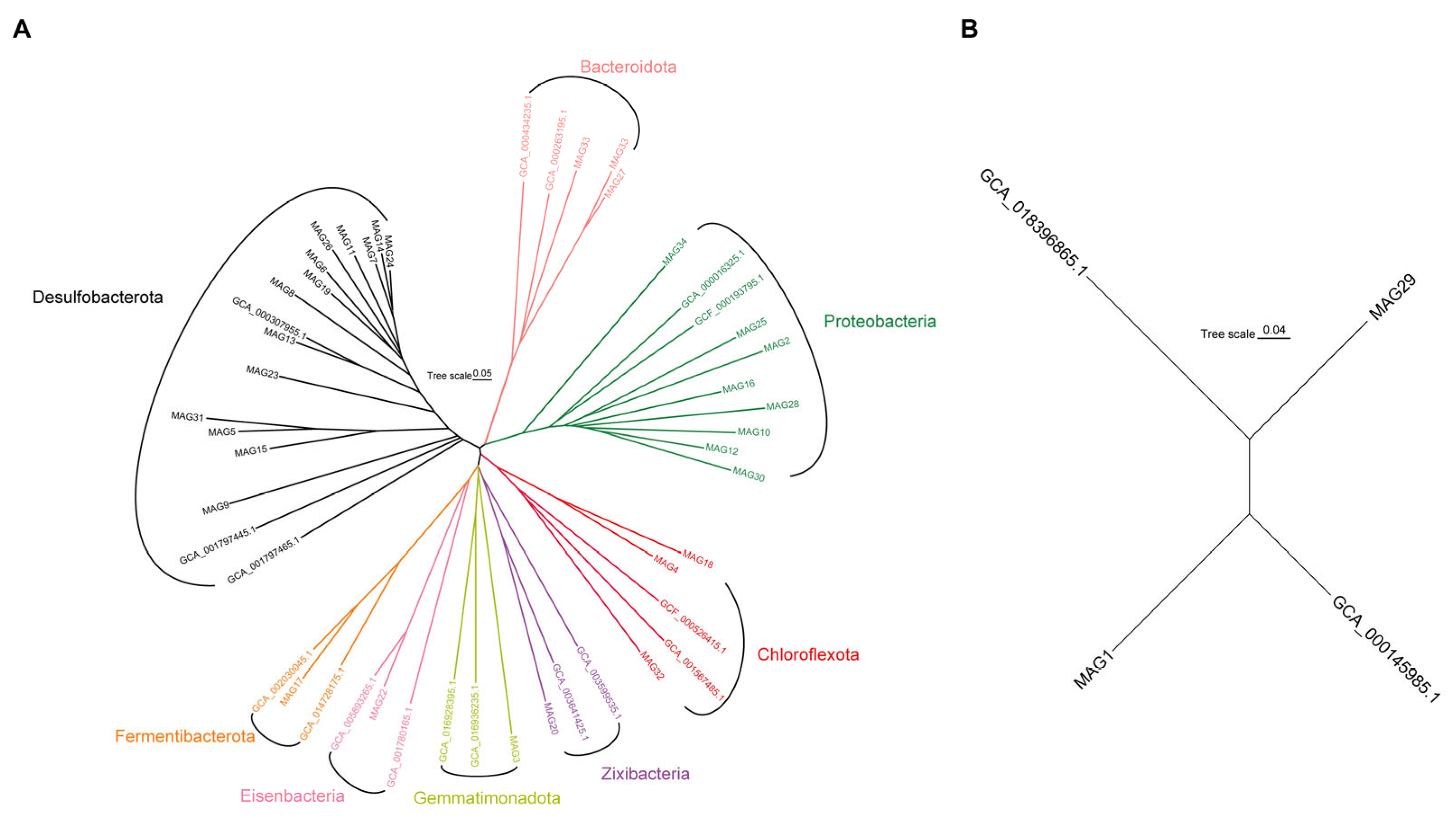 Microorganisms 12 00517 g004