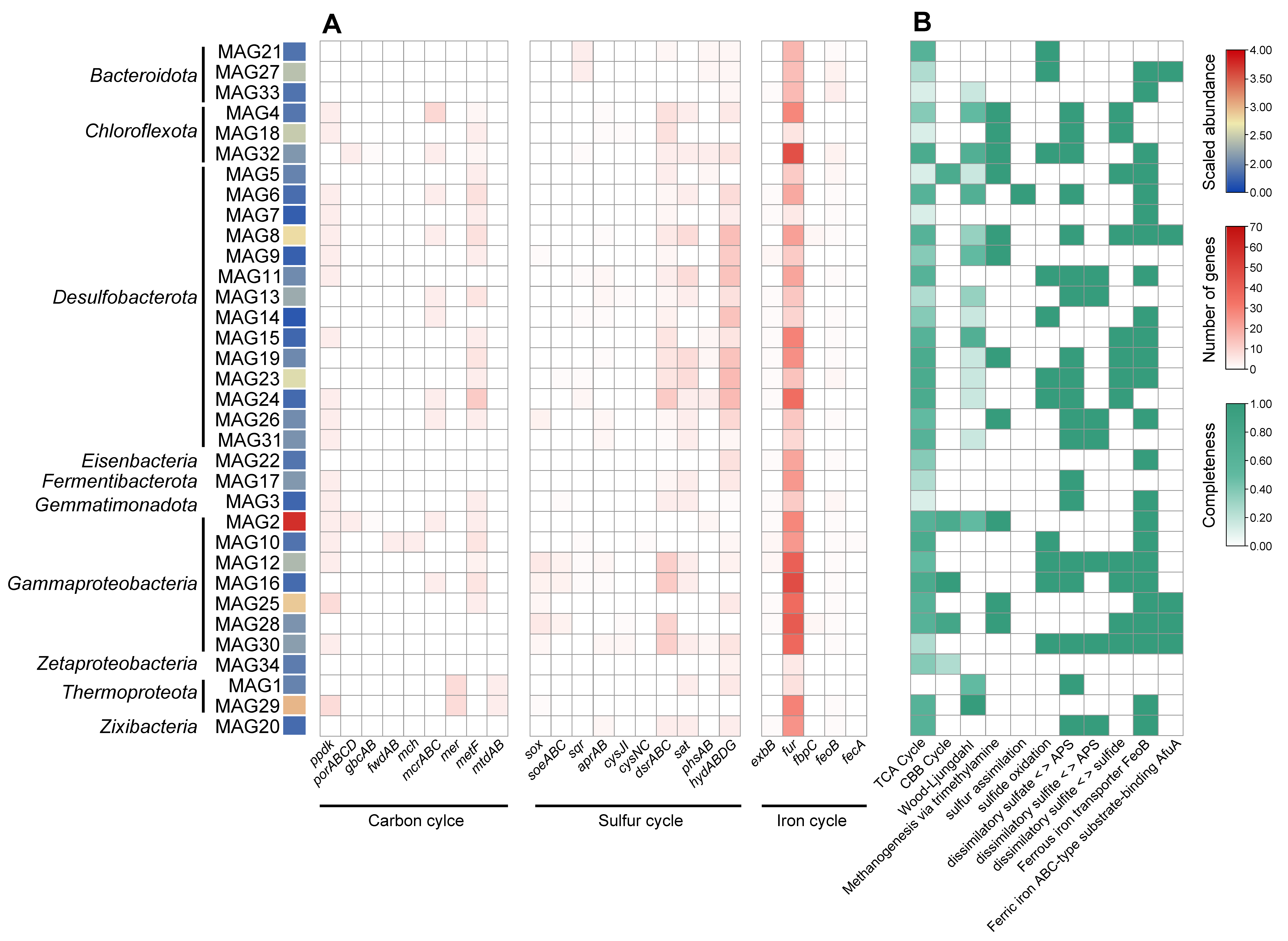 Microorganisms 12 00517 g005