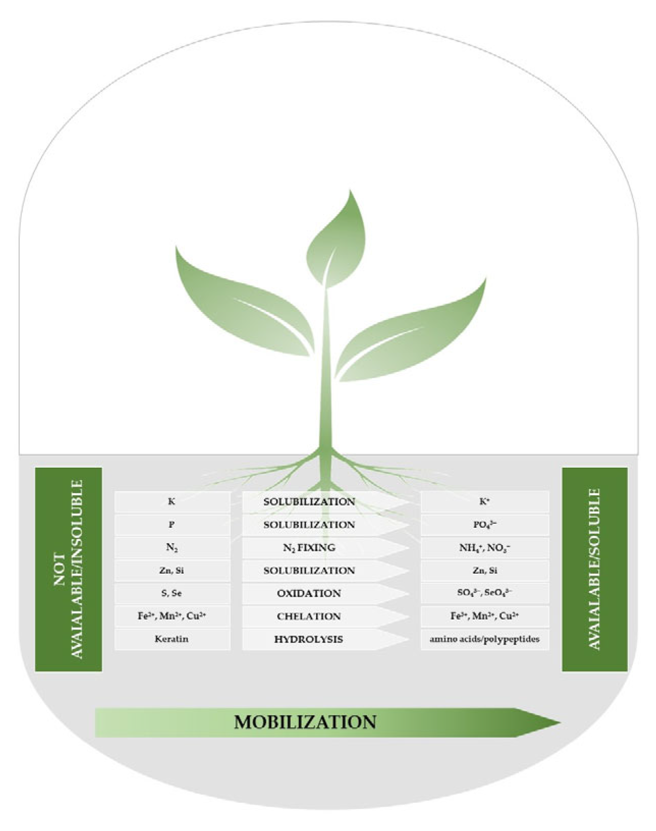 Microorganisms 12 00541 g003