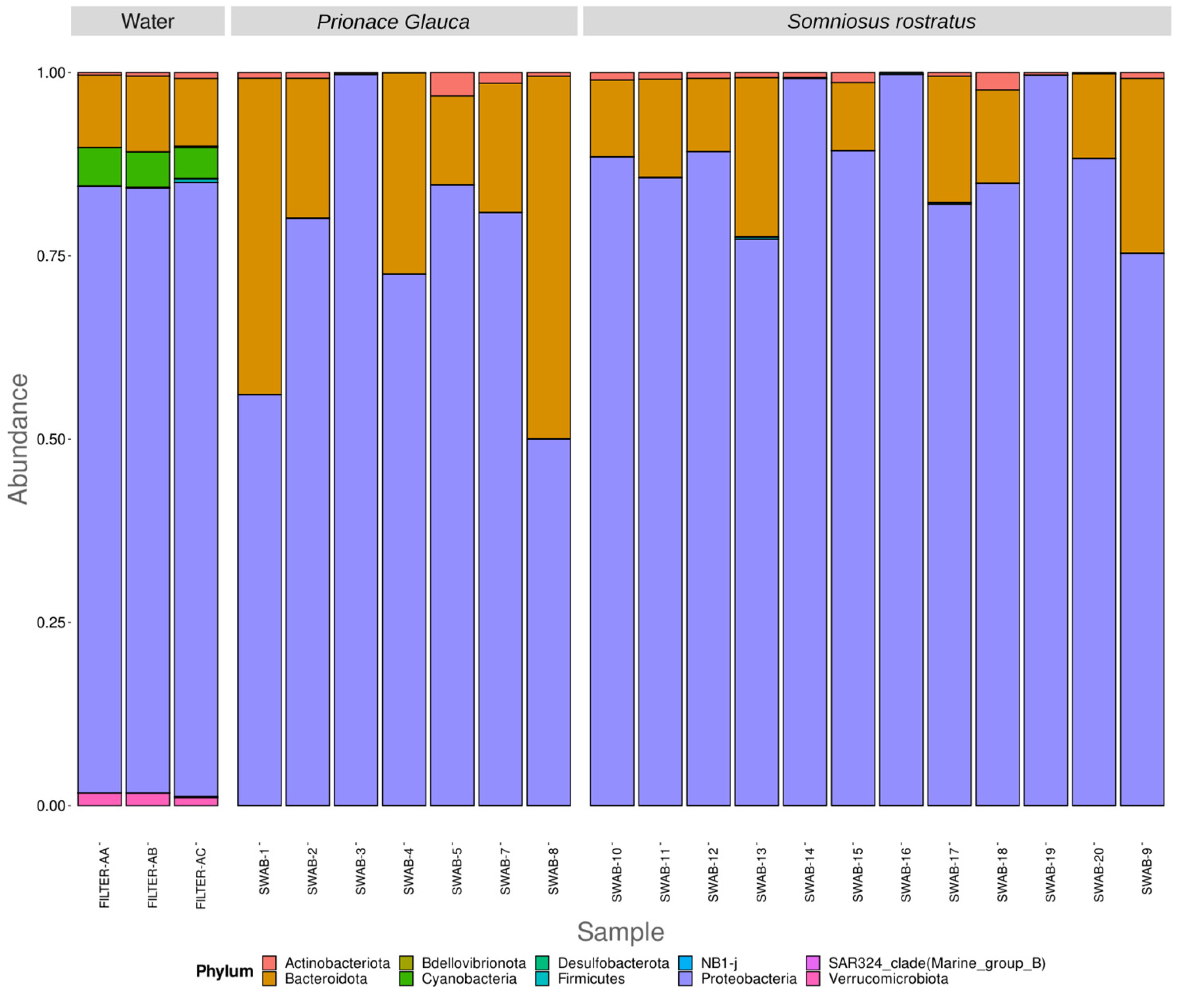 Microorganisms 12 00557 g001