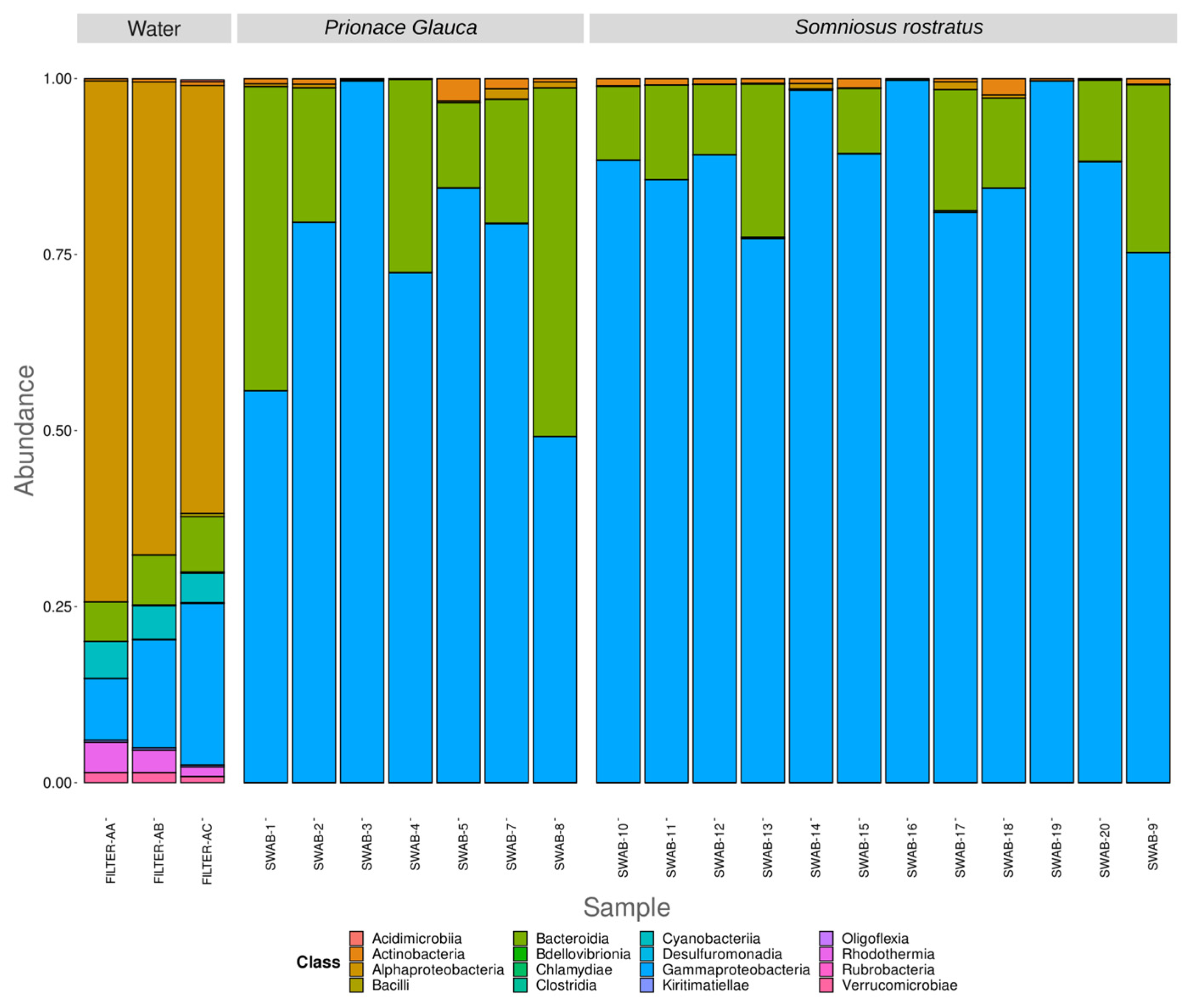 Microorganisms 12 00557 g002