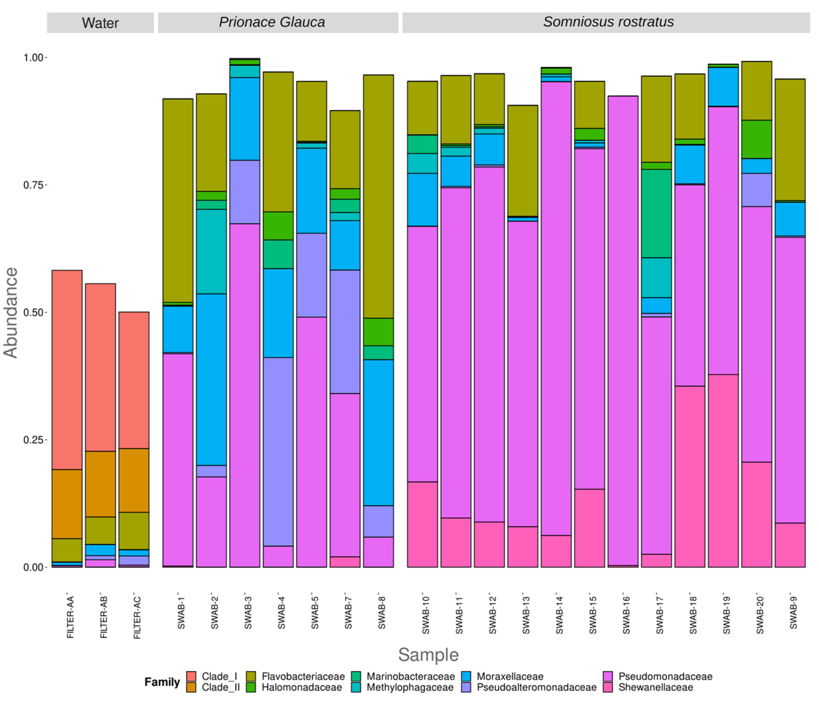 Microorganisms 12 00557 g003