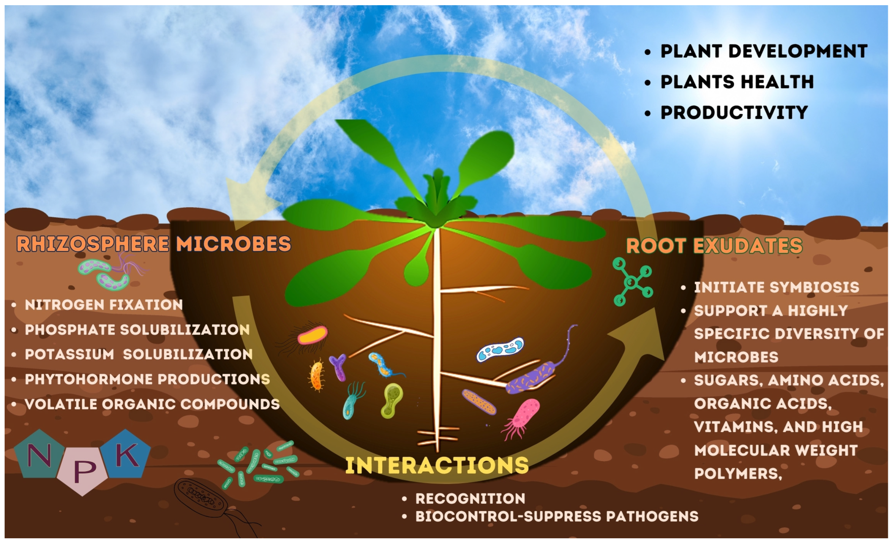 Microorganisms 12 00558 g001