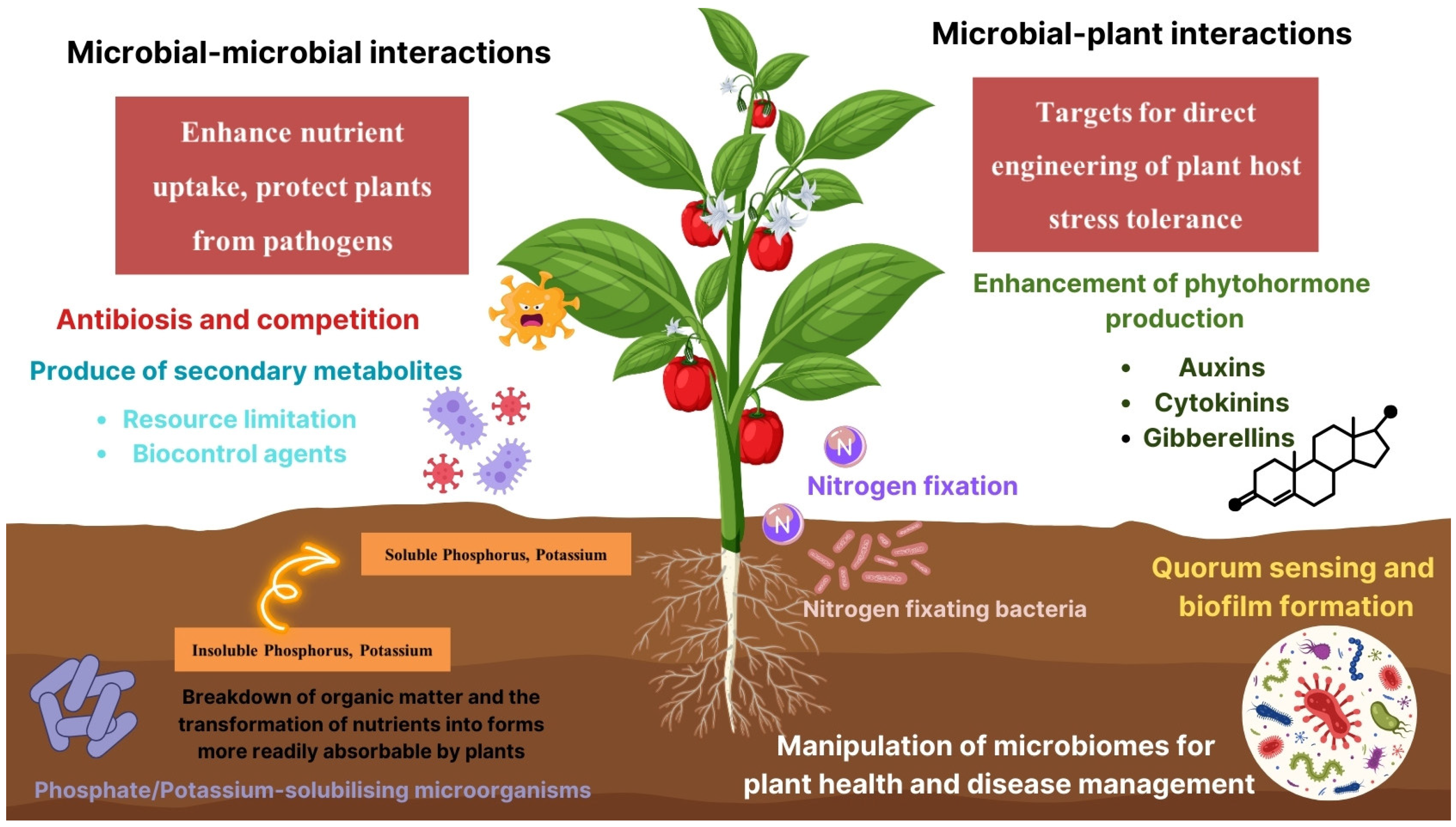 Microorganisms 12 00558 g002