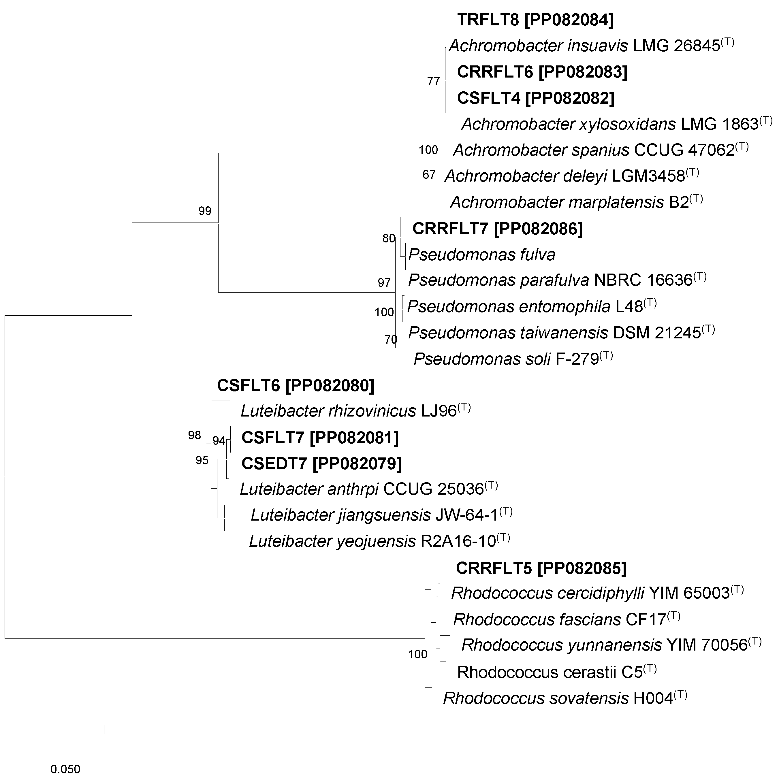 Microorganisms 12 00582 g001