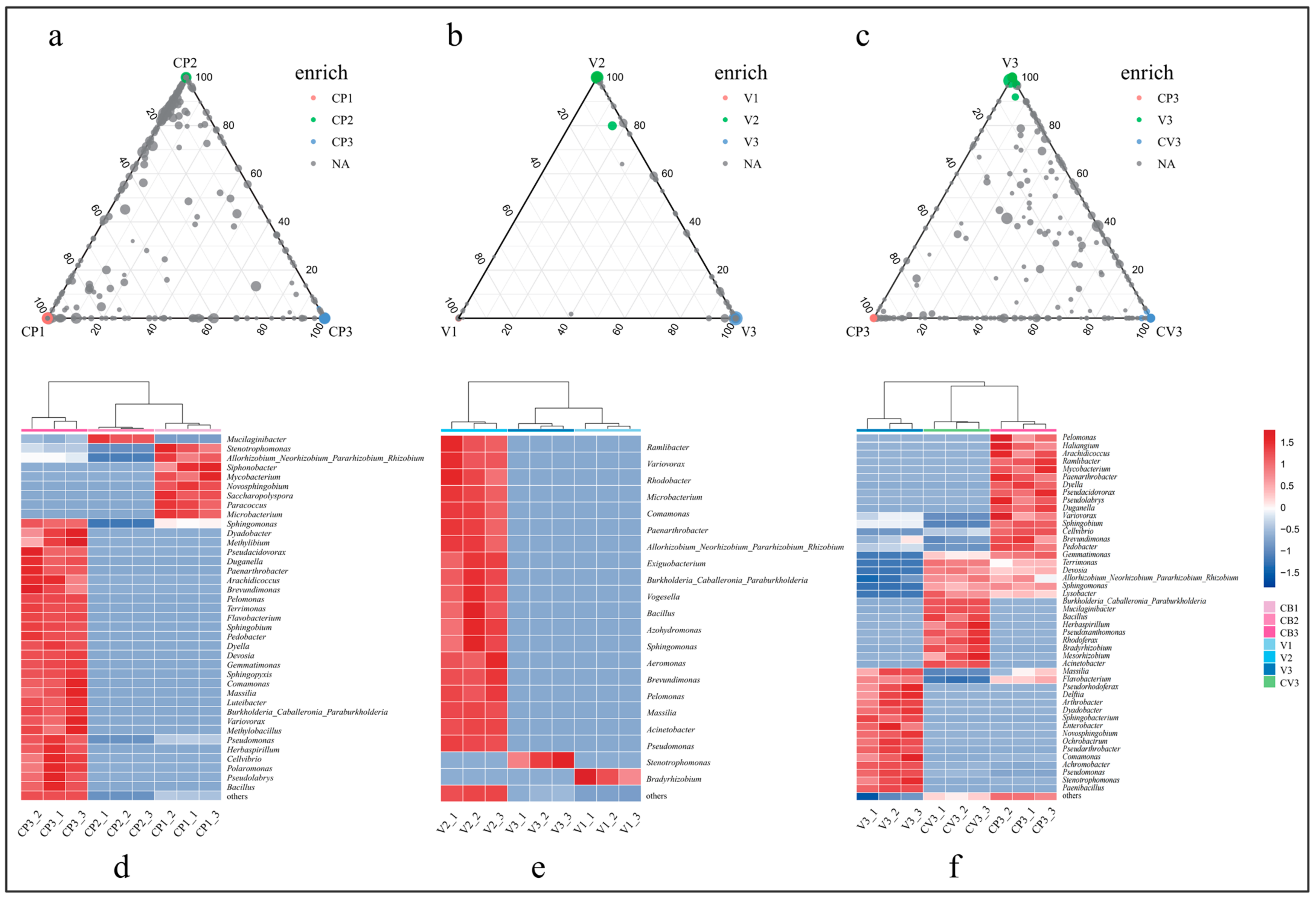 Microorganisms 12 00584 g005