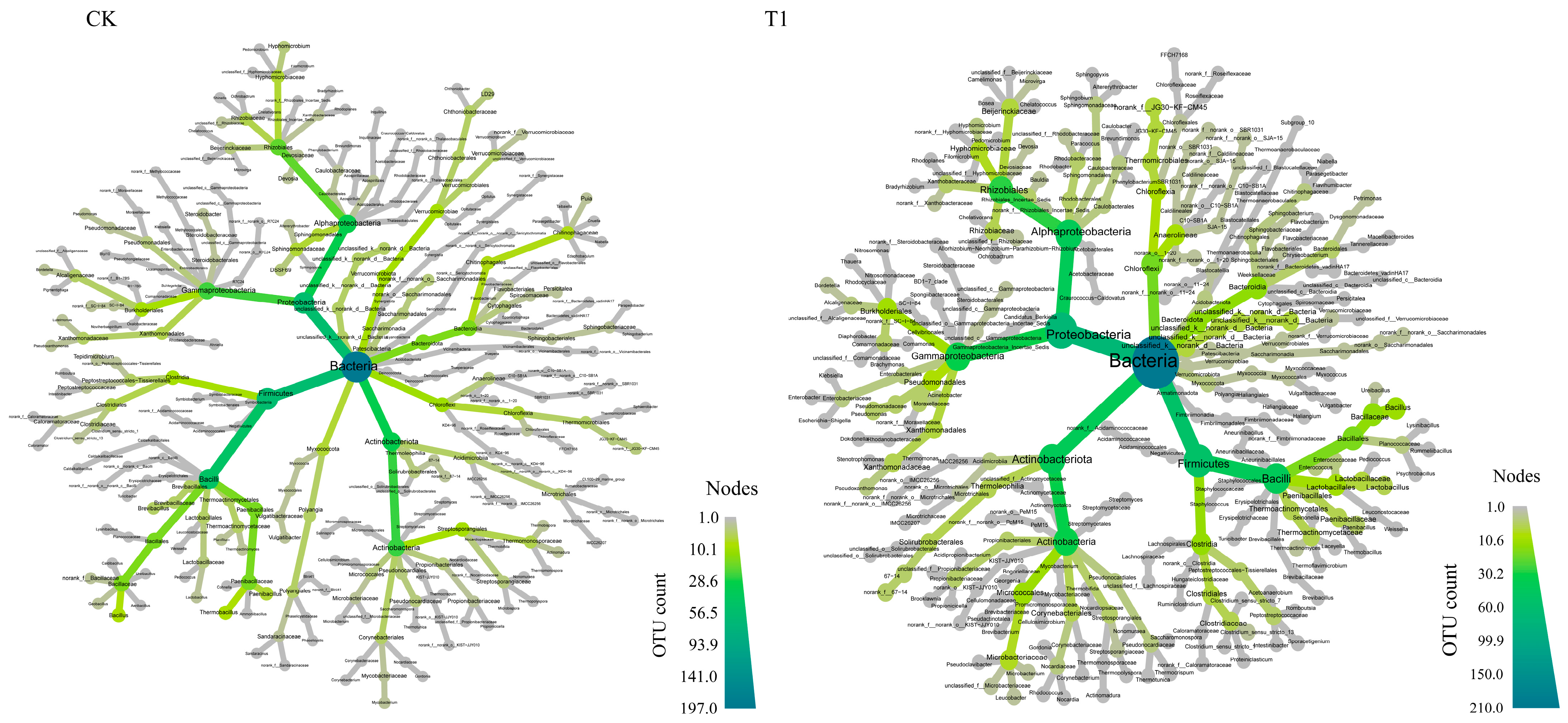 Microorganisms 12 00585 g003
