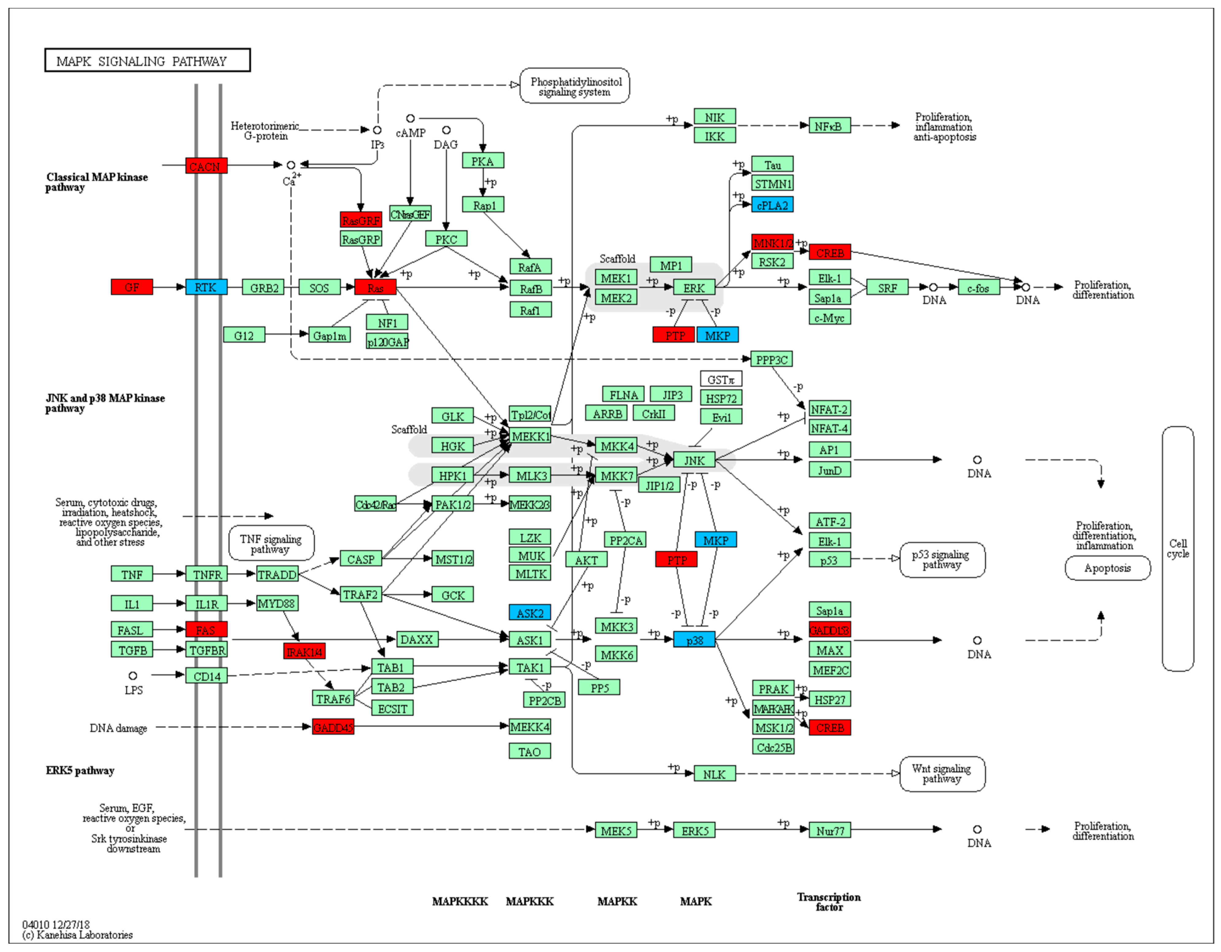 Microorganisms 12 00586 g001 Microorganisms 12 00586 g001