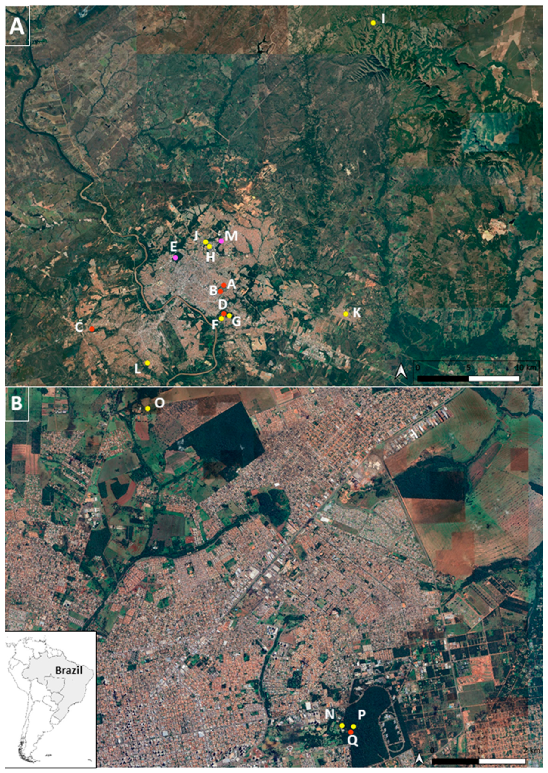 Microorganisms 12 00594 g001