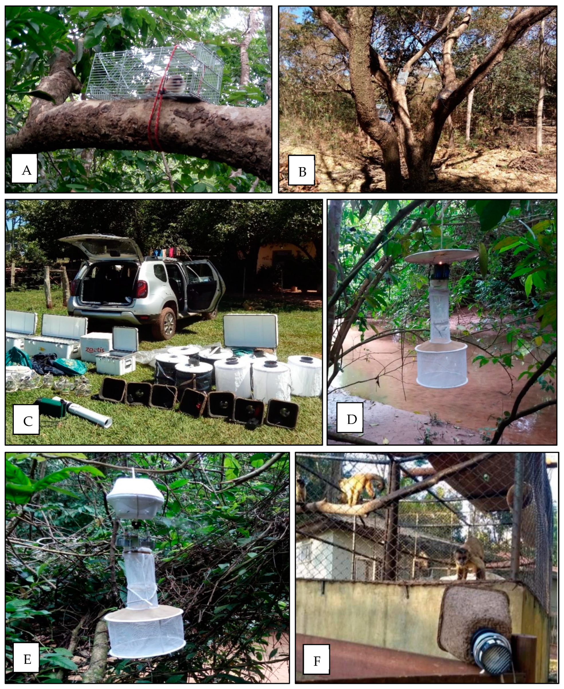 Microorganisms 12 00594 g002