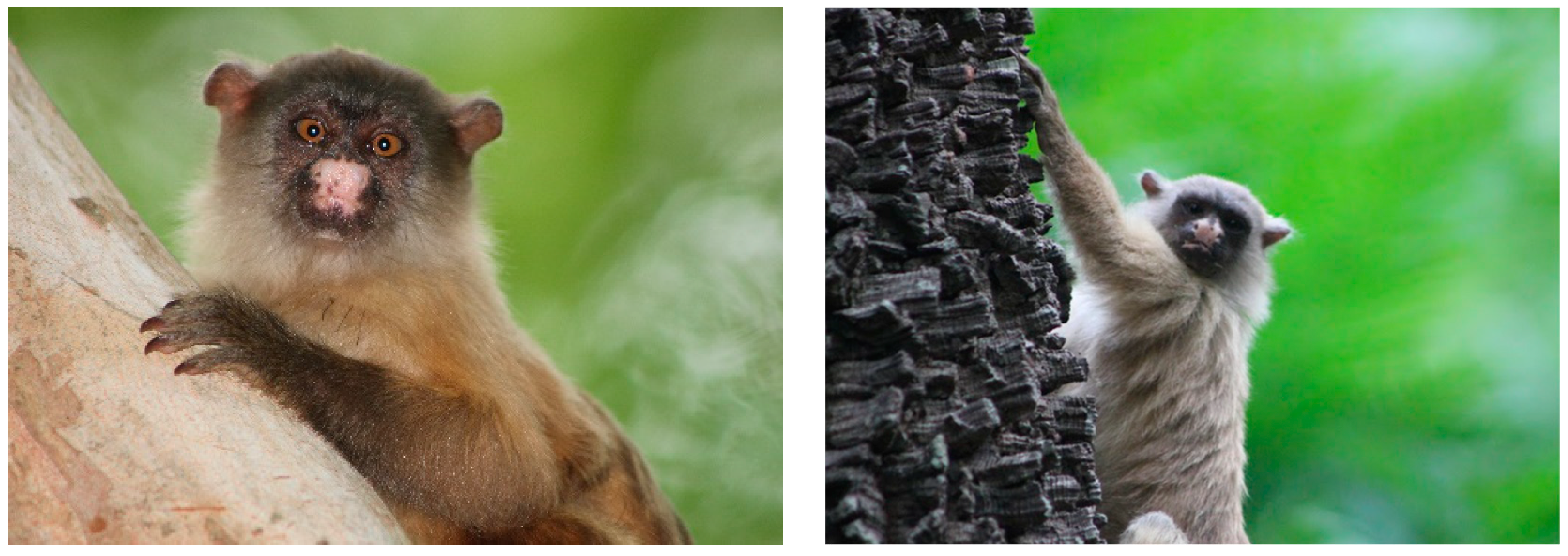 Microorganisms 12 00594 g003