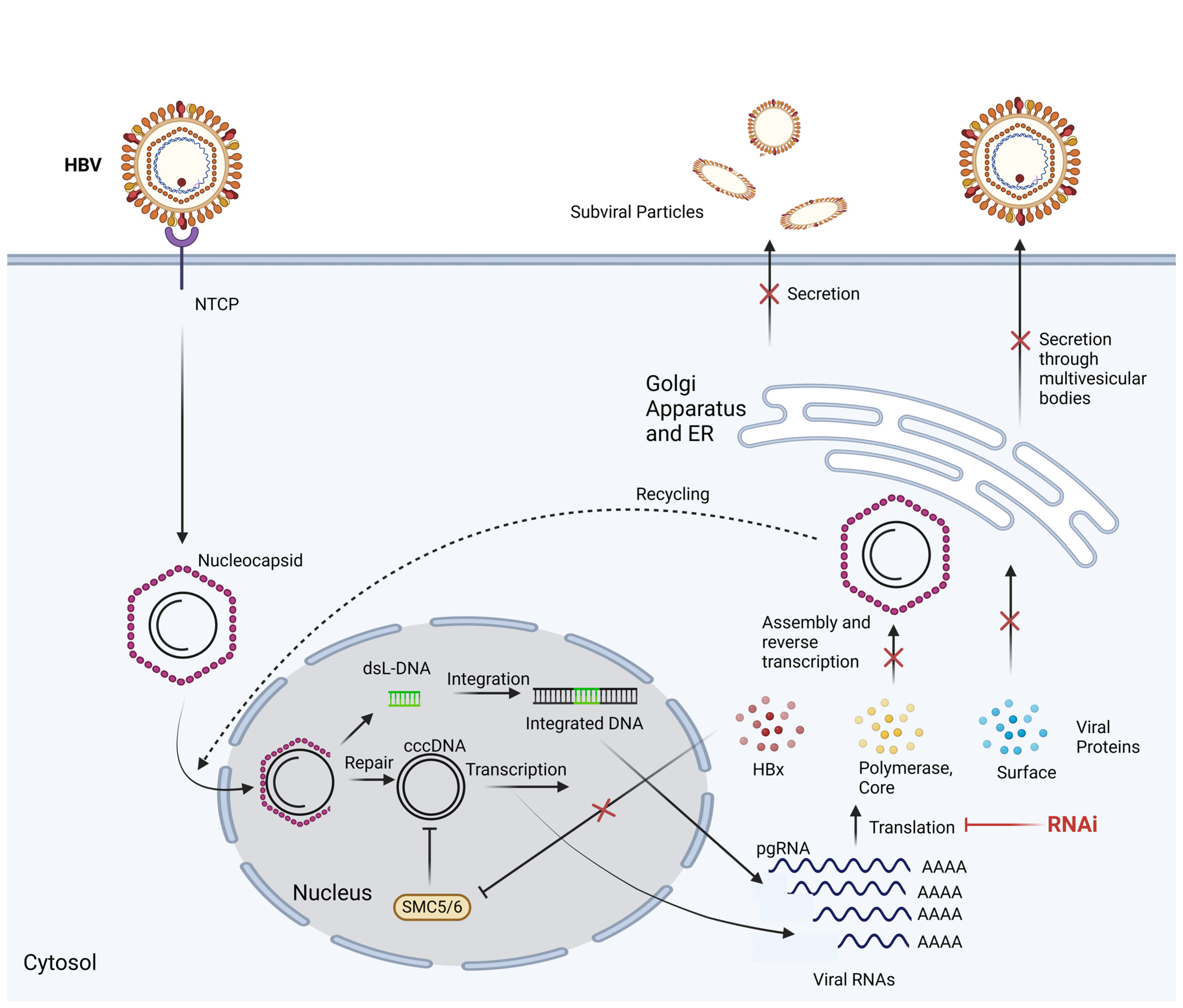 Microorganisms 12 00599 g002