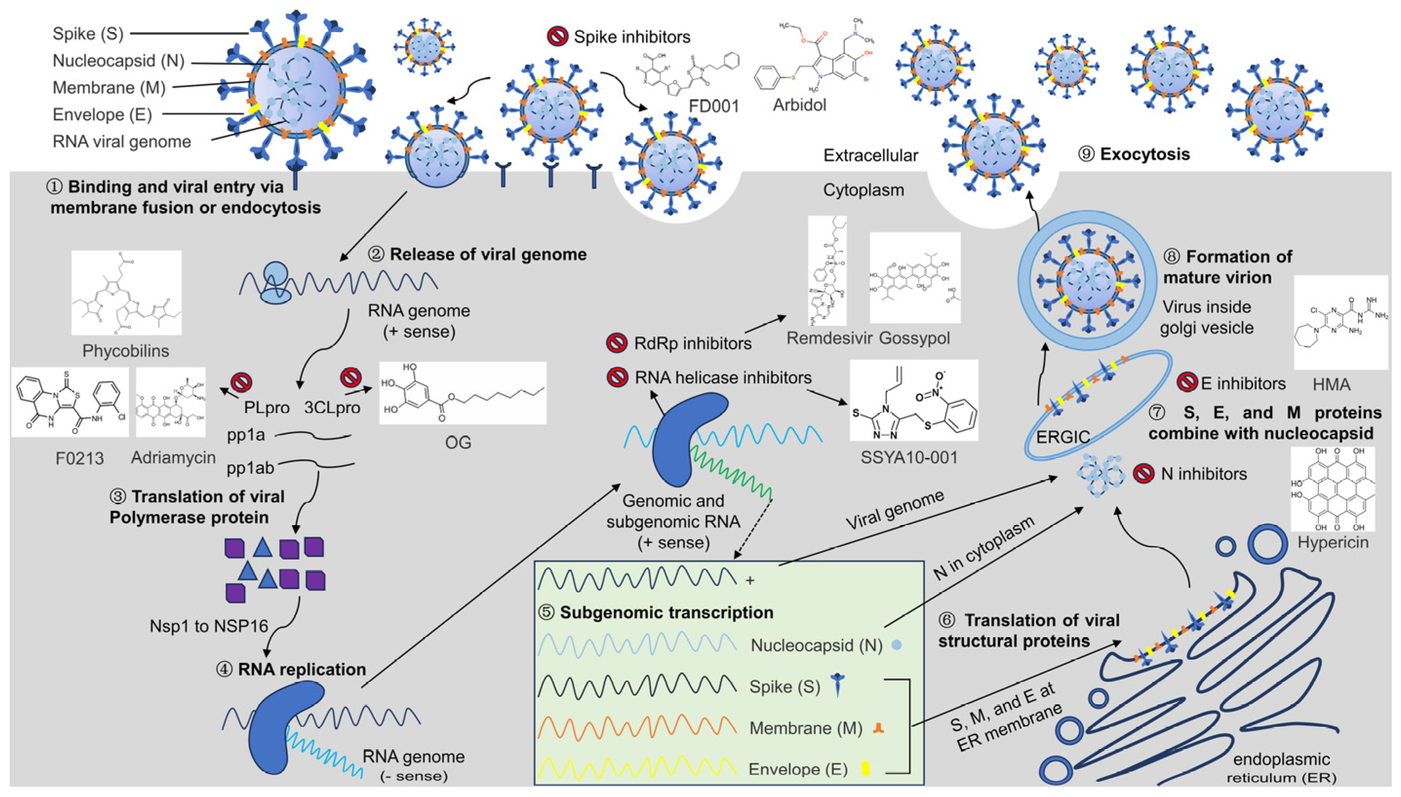 Microorganisms 12 00600 g001