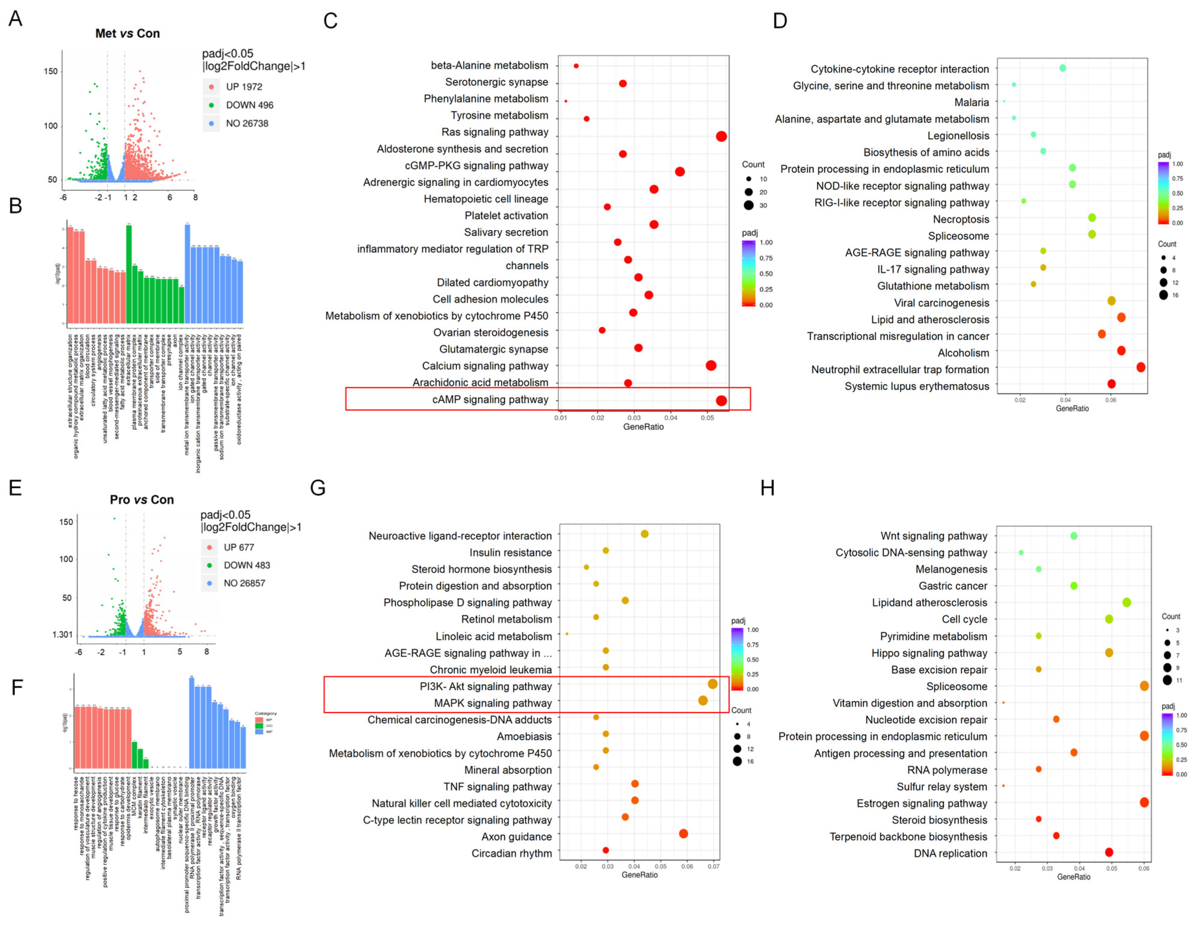 Microorganisms 12 00637 g005