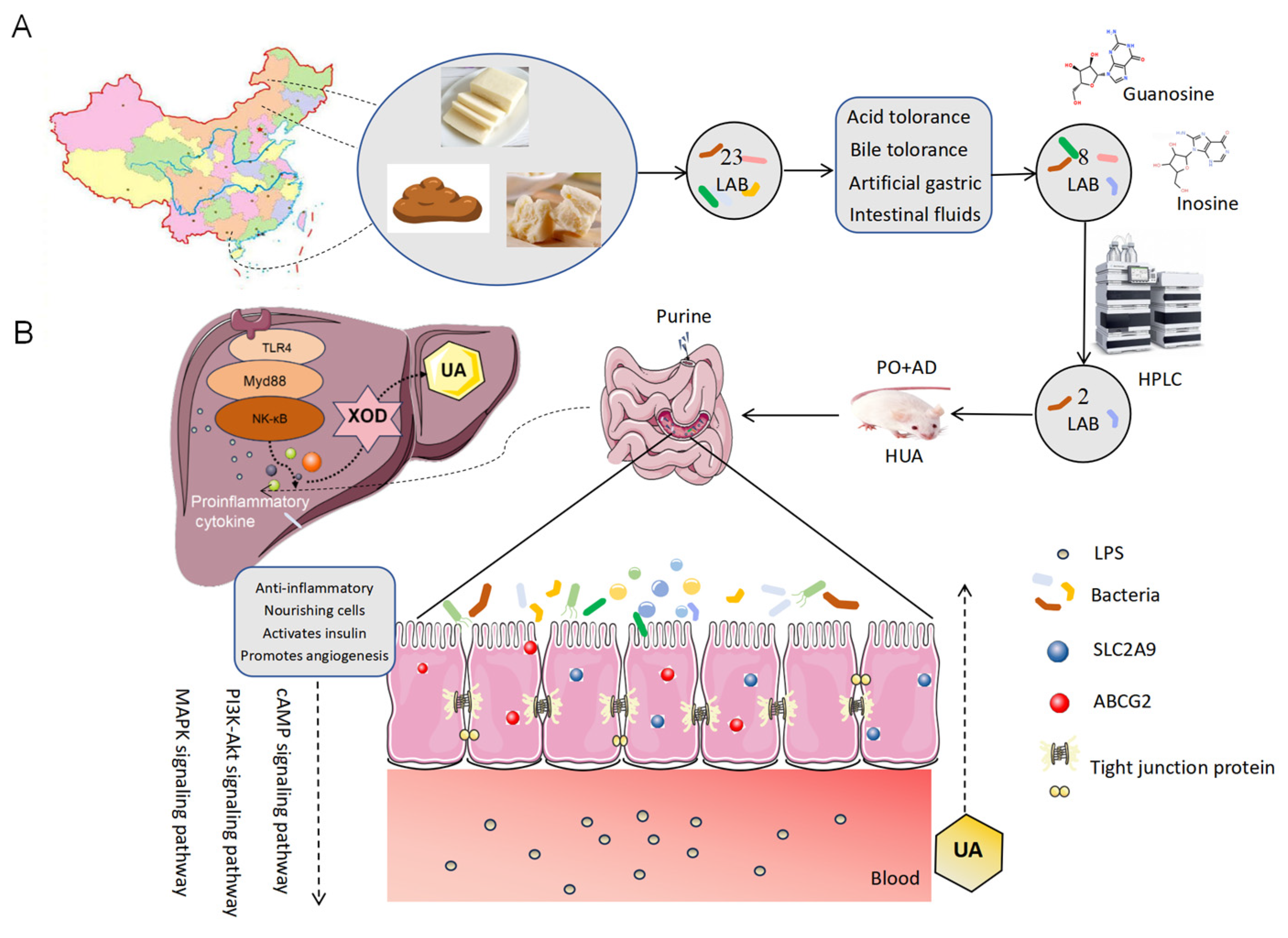 Microorganisms 12 00637 g006