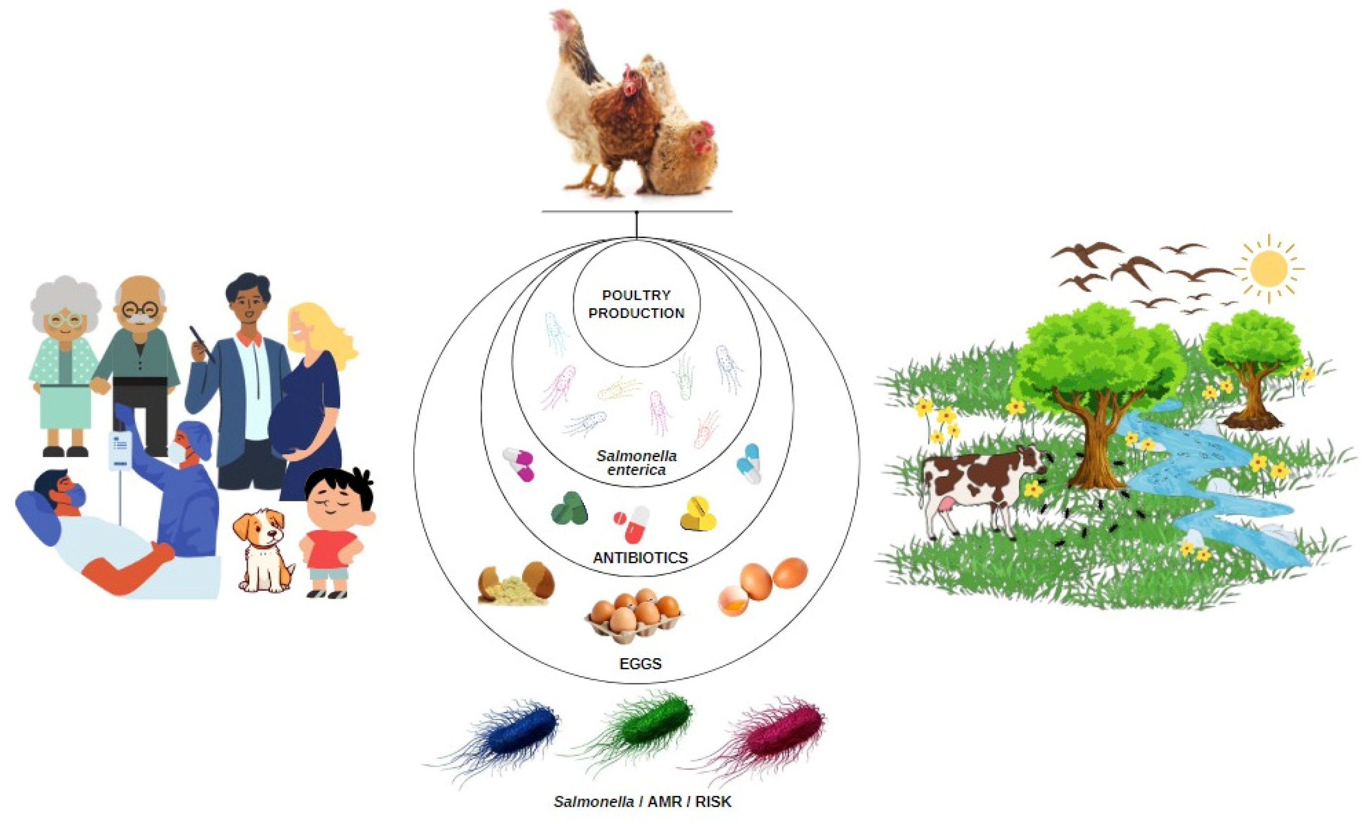 Microorganisms Free Full Text Antibiotic Resistance Profile of