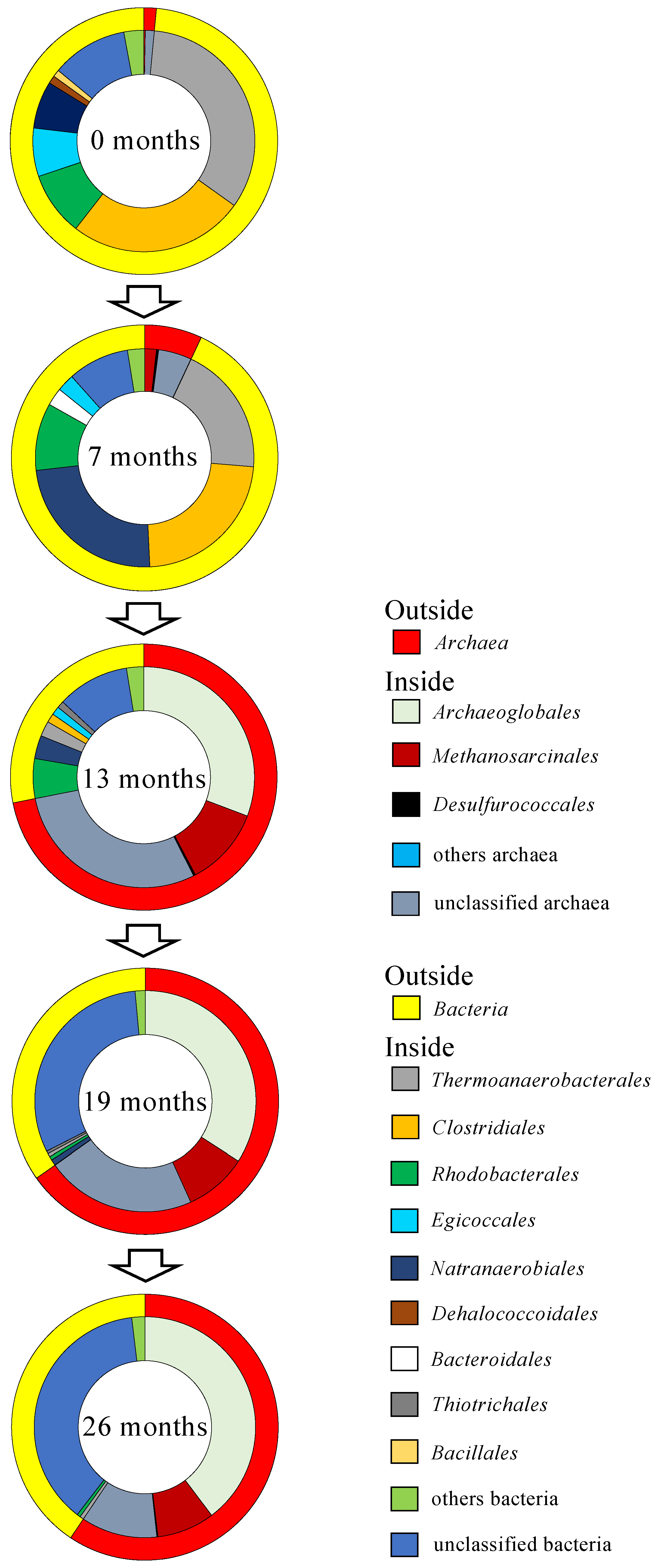 Microorganisms 12 00679 g001