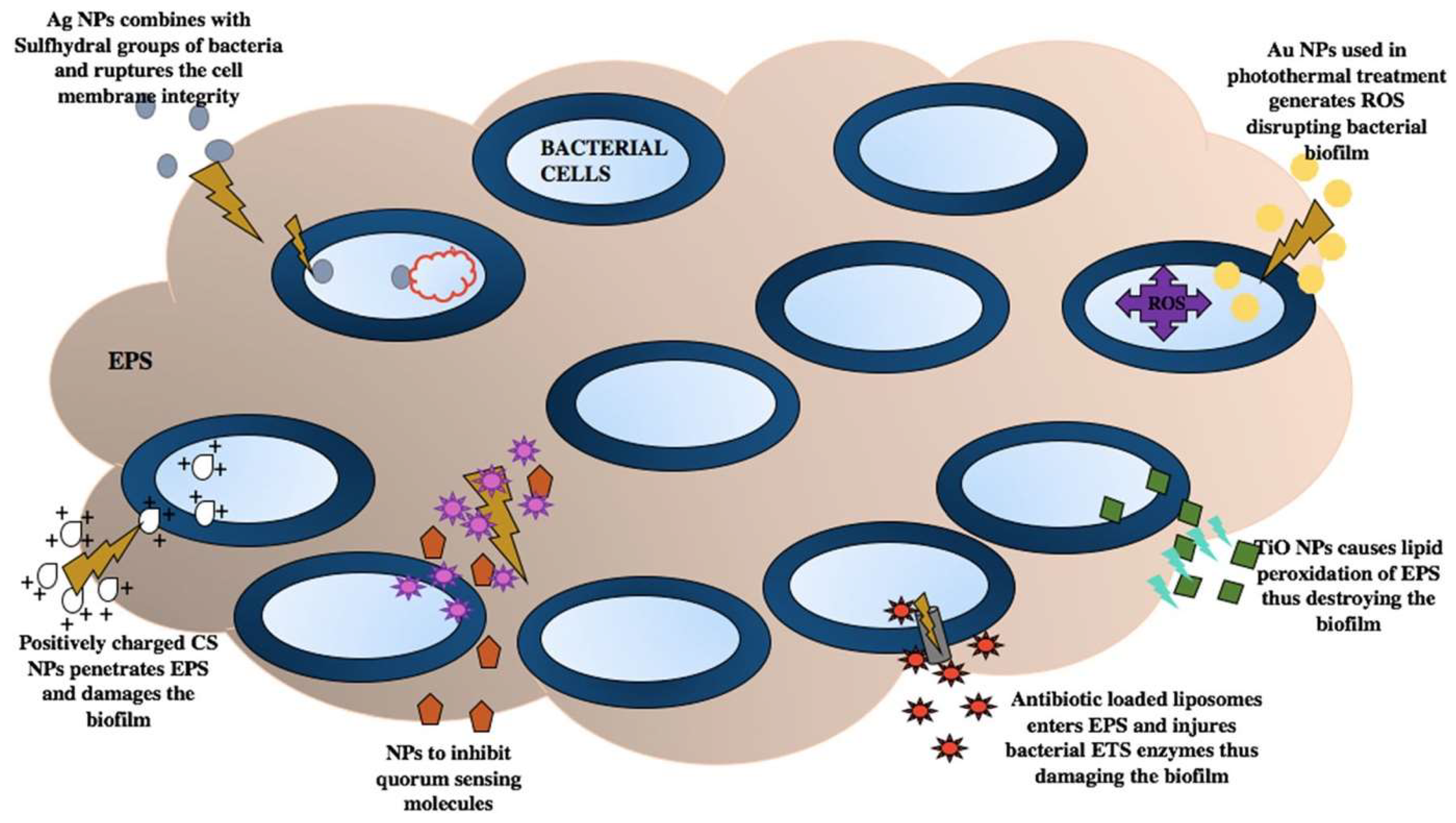 Microorganisms 12 00684 g002