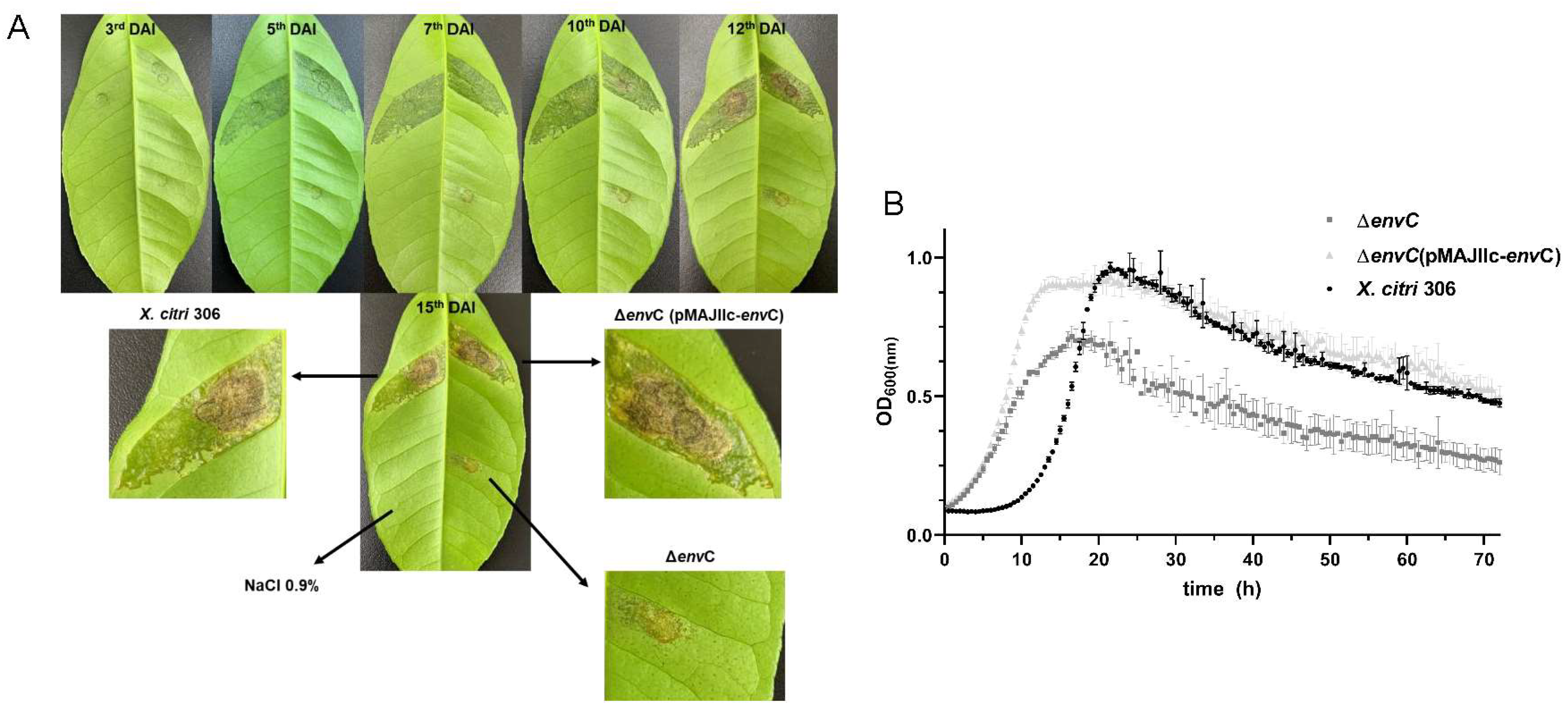 Microorganisms 12 00691 g003