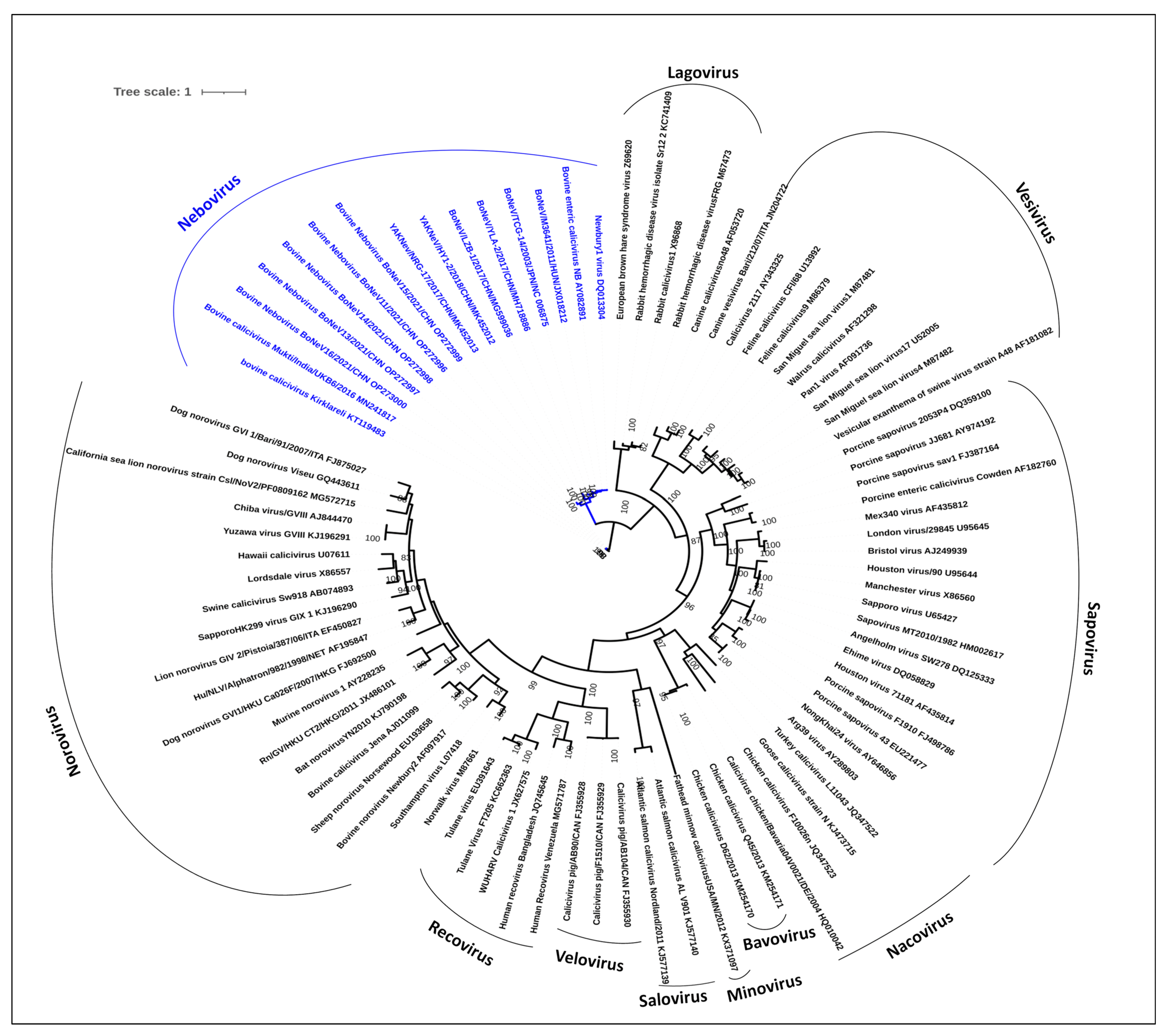 Microorganisms 12 00696 g005
