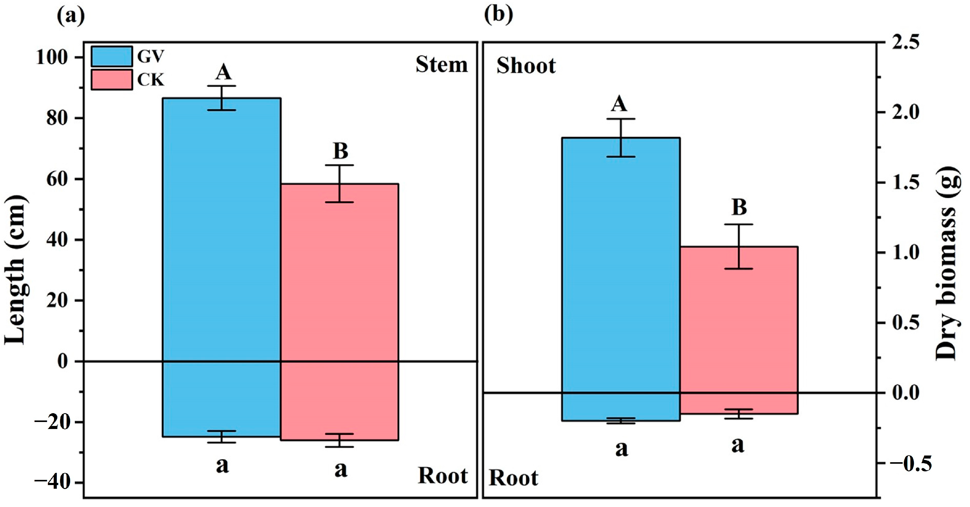 Microorganisms 12 00701 g001 Microorganisms 12 00701 g001