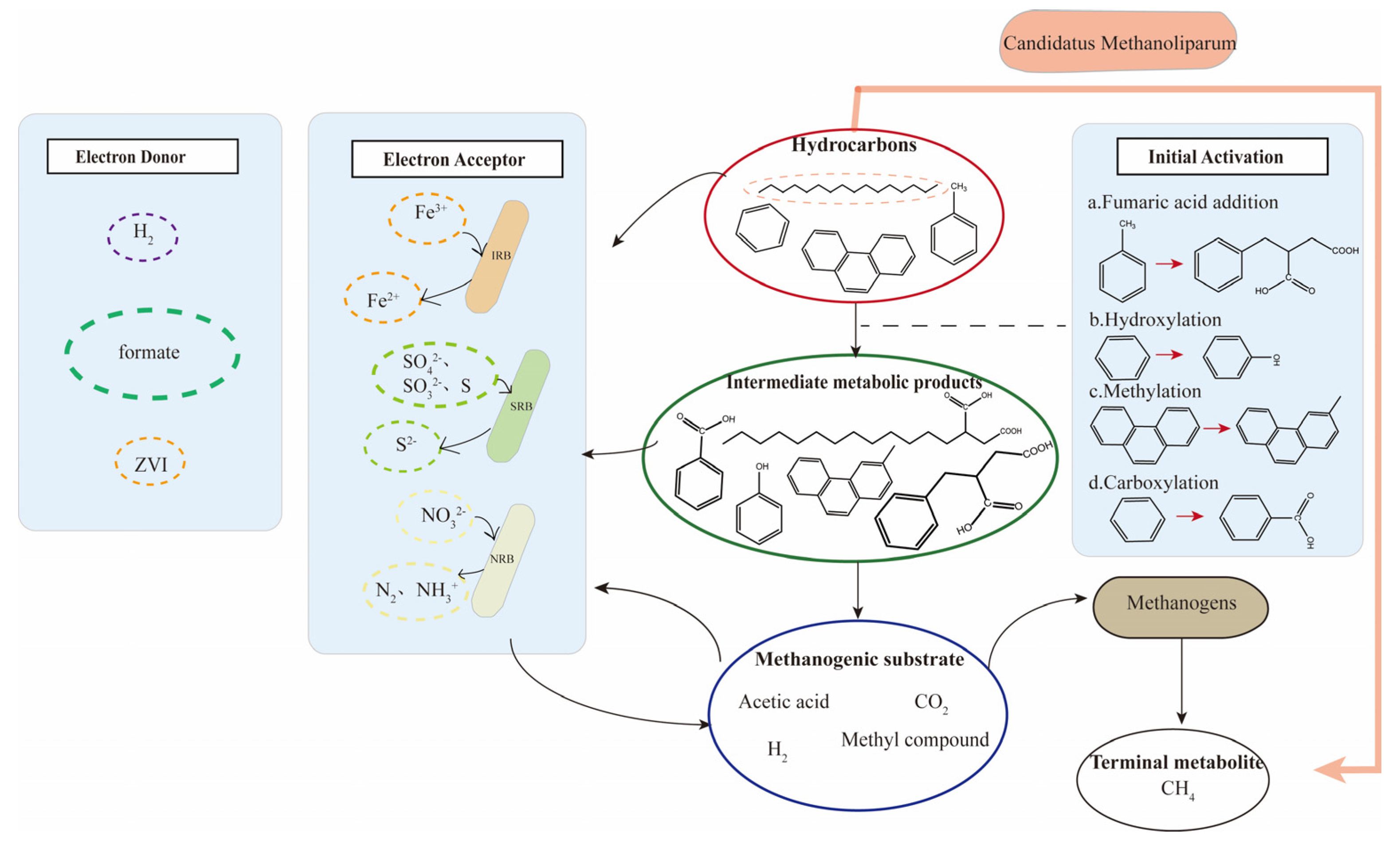 Microorganisms 12 00702 g004 Microorganisms 12 00702 g004