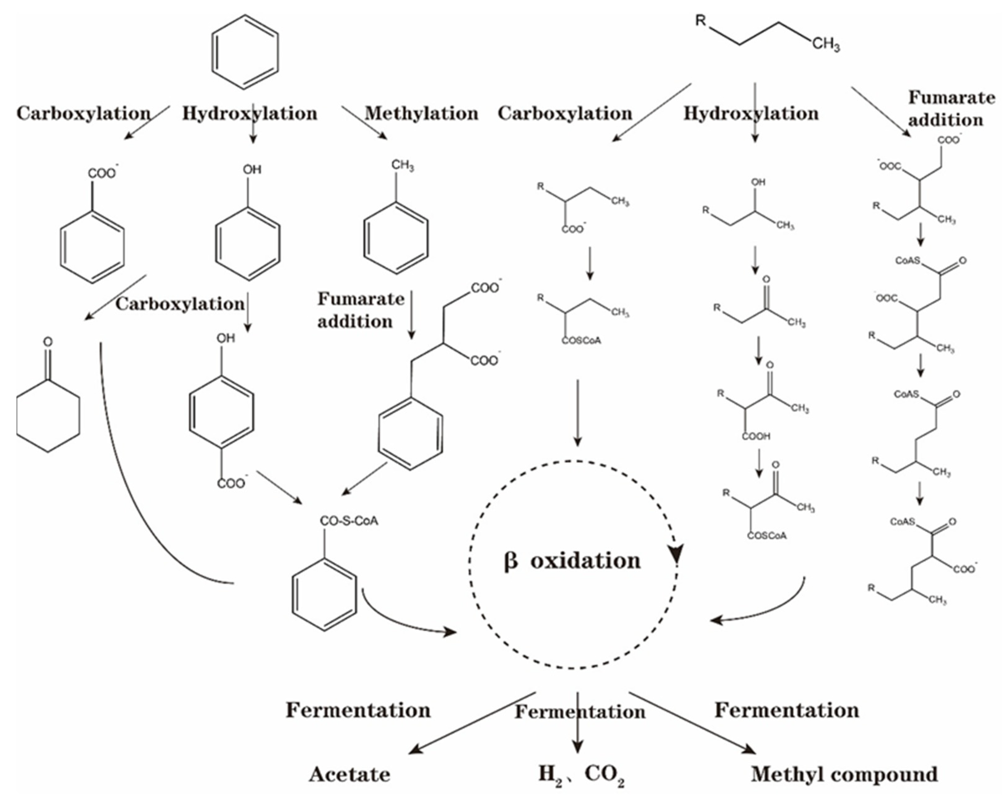Microorganisms 12 00702 g005 Microorganisms 12 00702 g005
