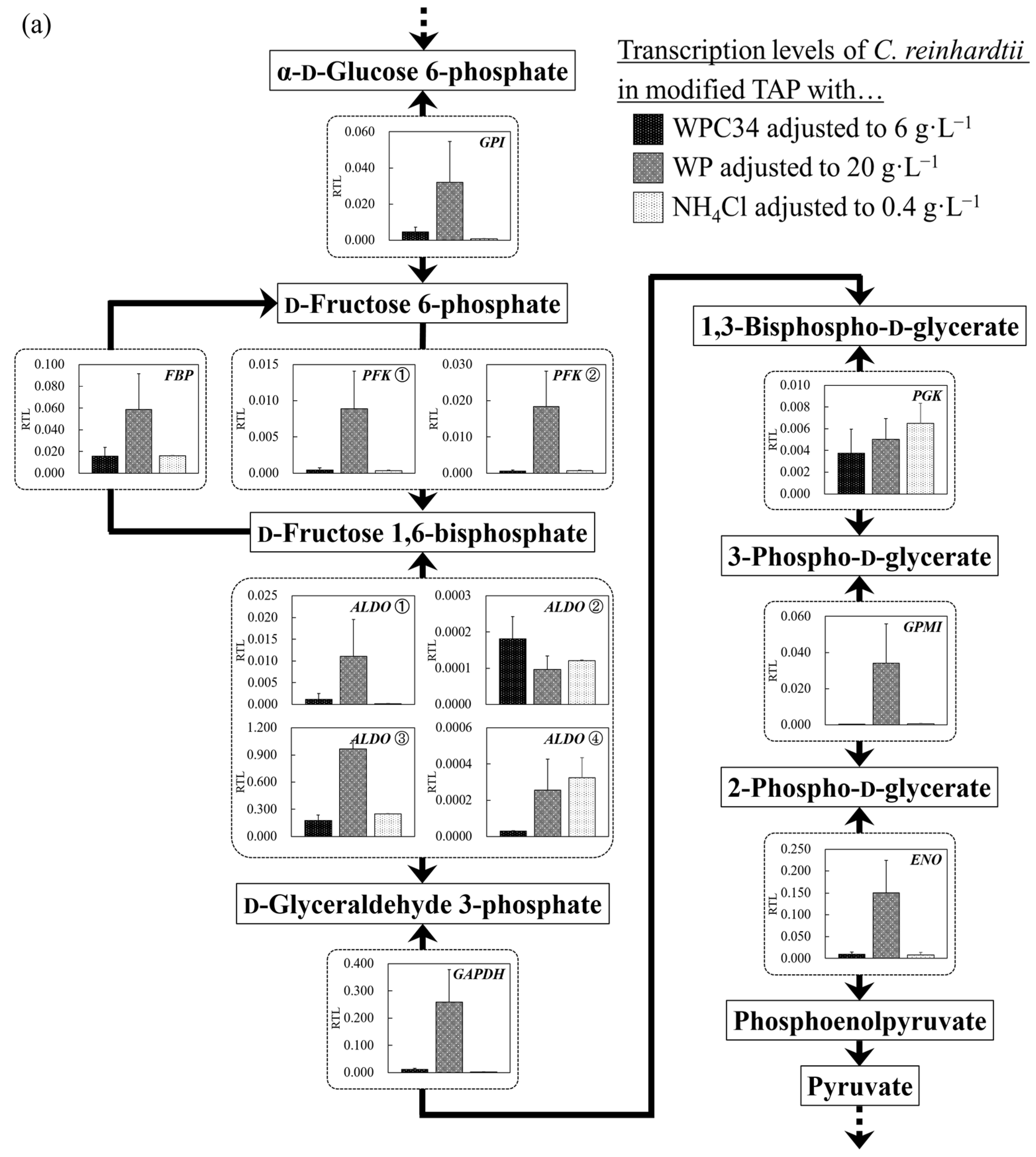 Microorganisms 12 00715 g006a