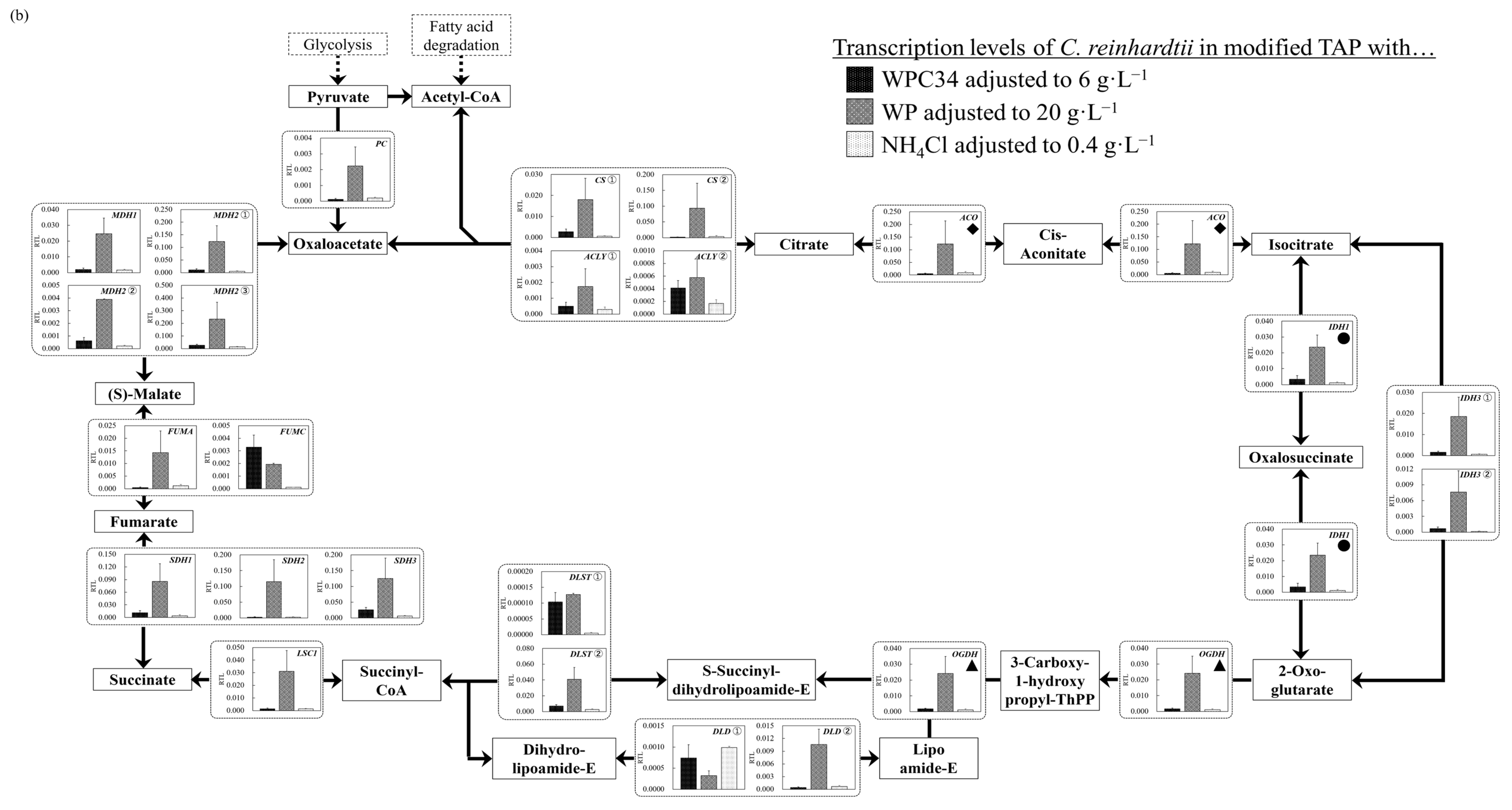 Microorganisms 12 00715 g006b