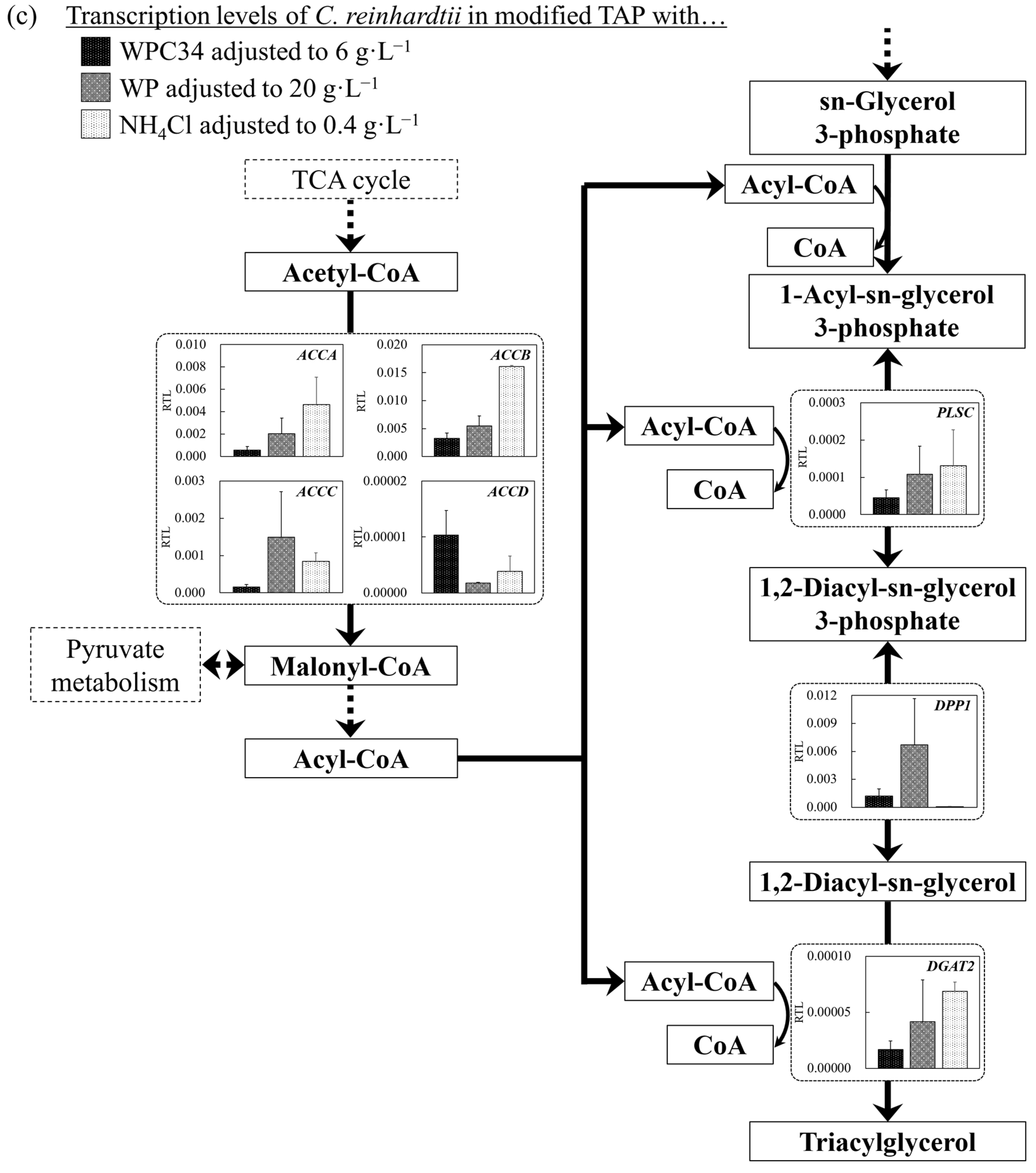 Microorganisms 12 00715 g006c