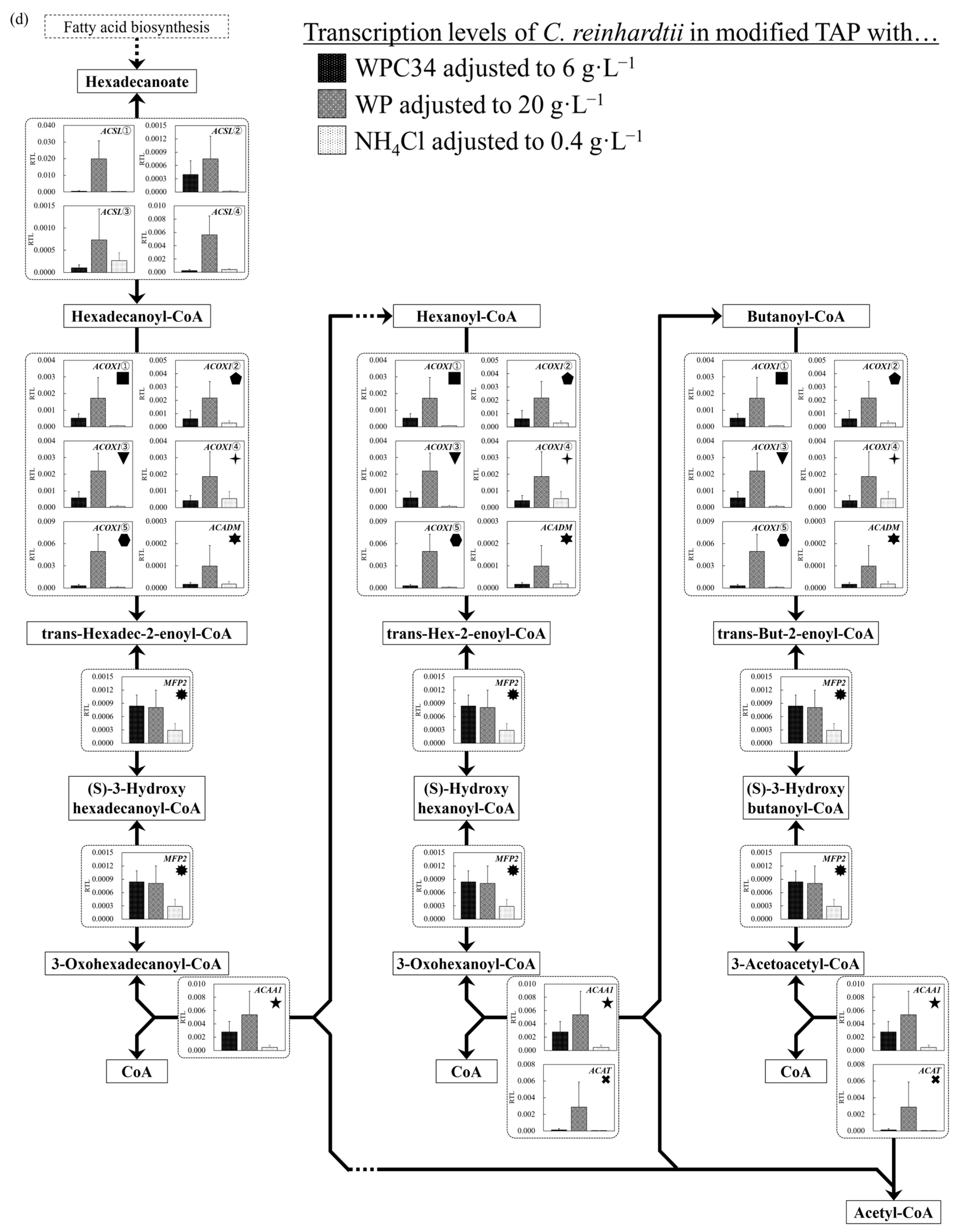 Microorganisms 12 00715 g006d