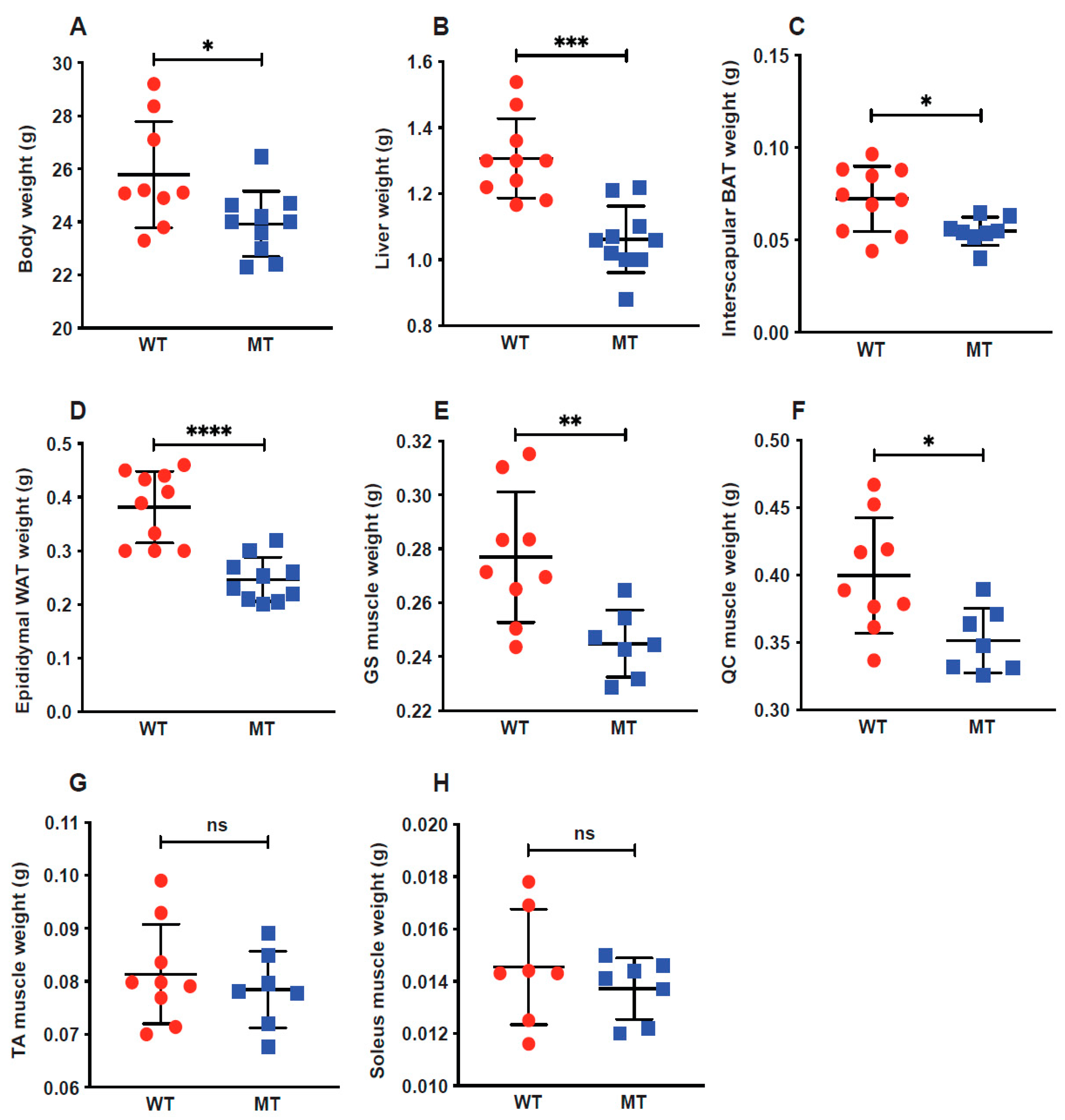 Microorganisms 12 00719 g001