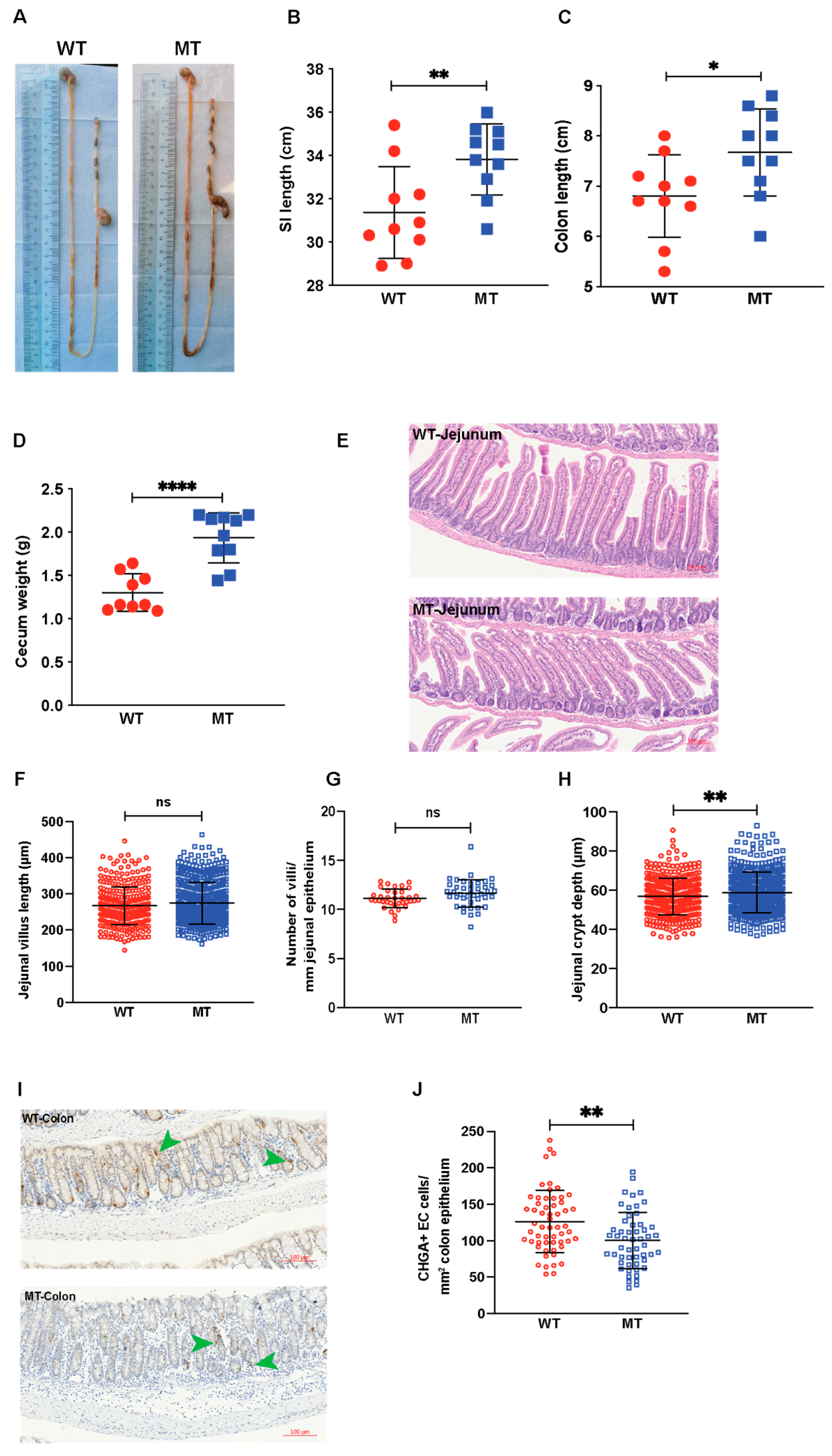 Microorganisms 12 00719 g007