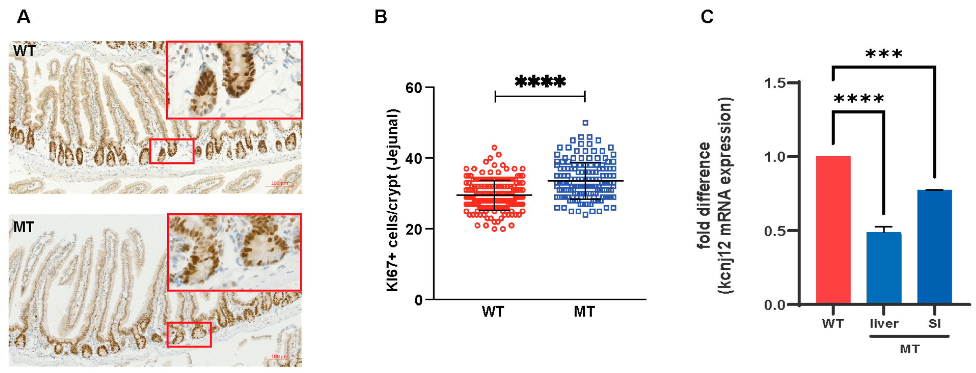 Microorganisms 12 00719 g008