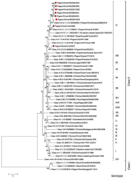 Microorganisms | Free Full-Text | Genetic Characterization ...