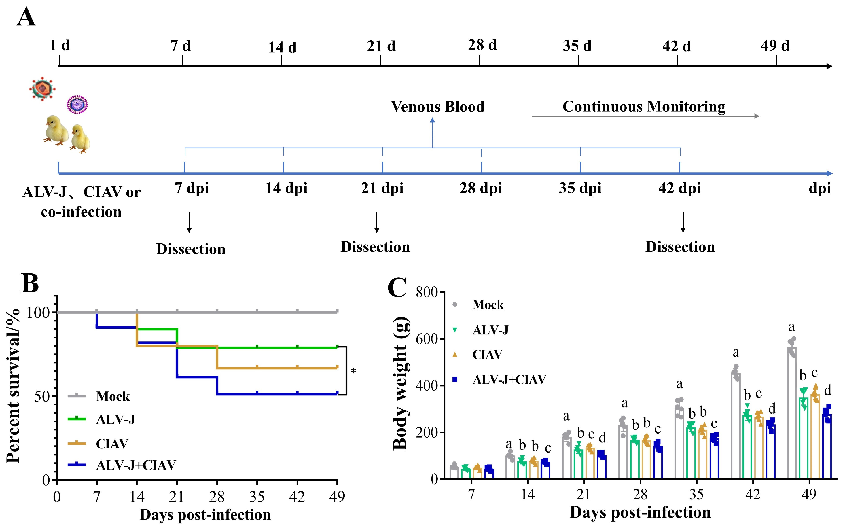 Microorganisms 12 00740 g004