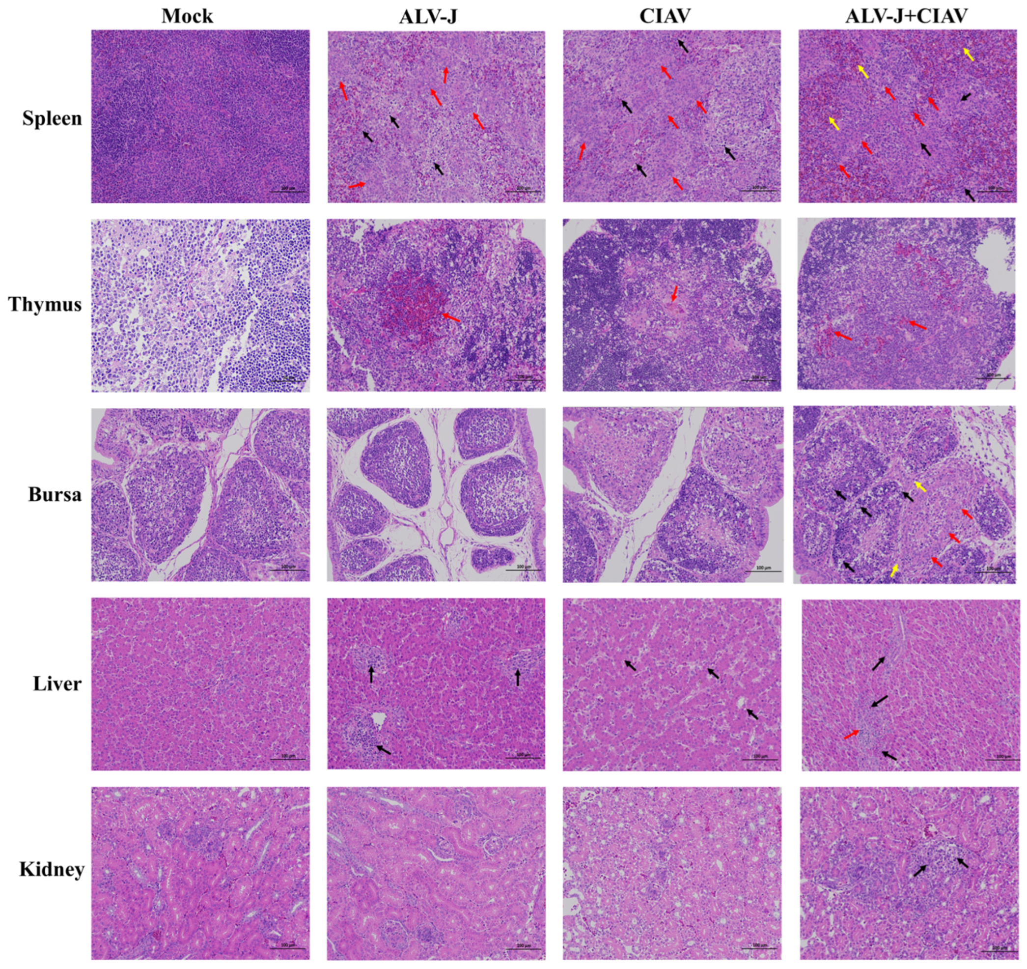 Microorganisms 12 00740 g005