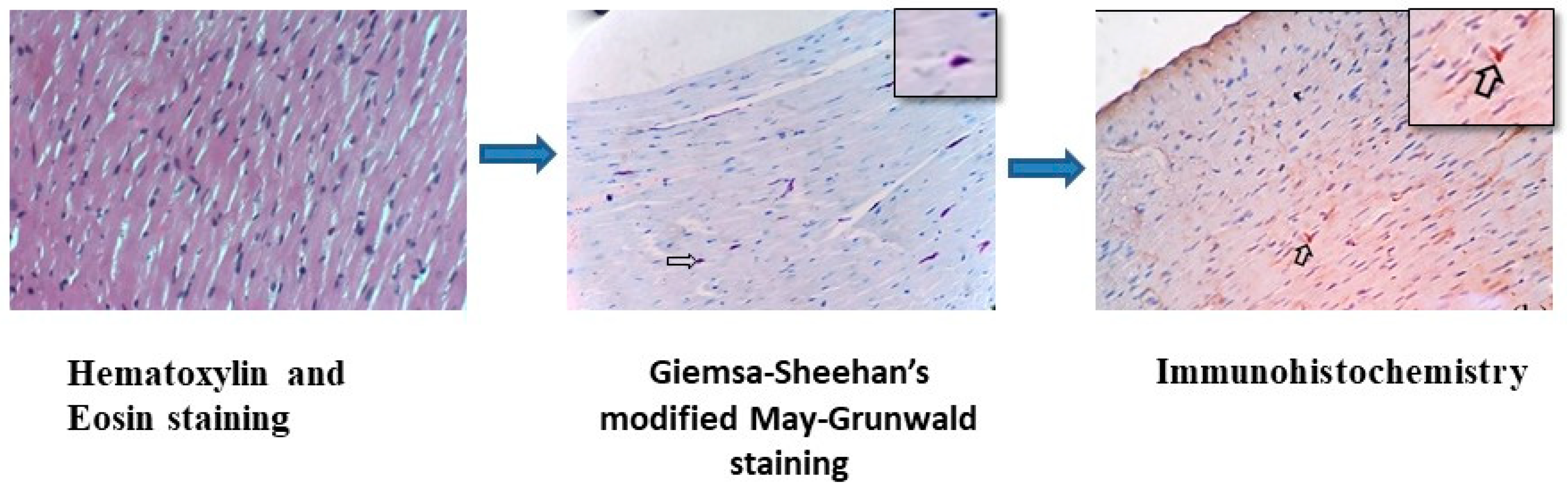 Microorganisms 12 00748 g001