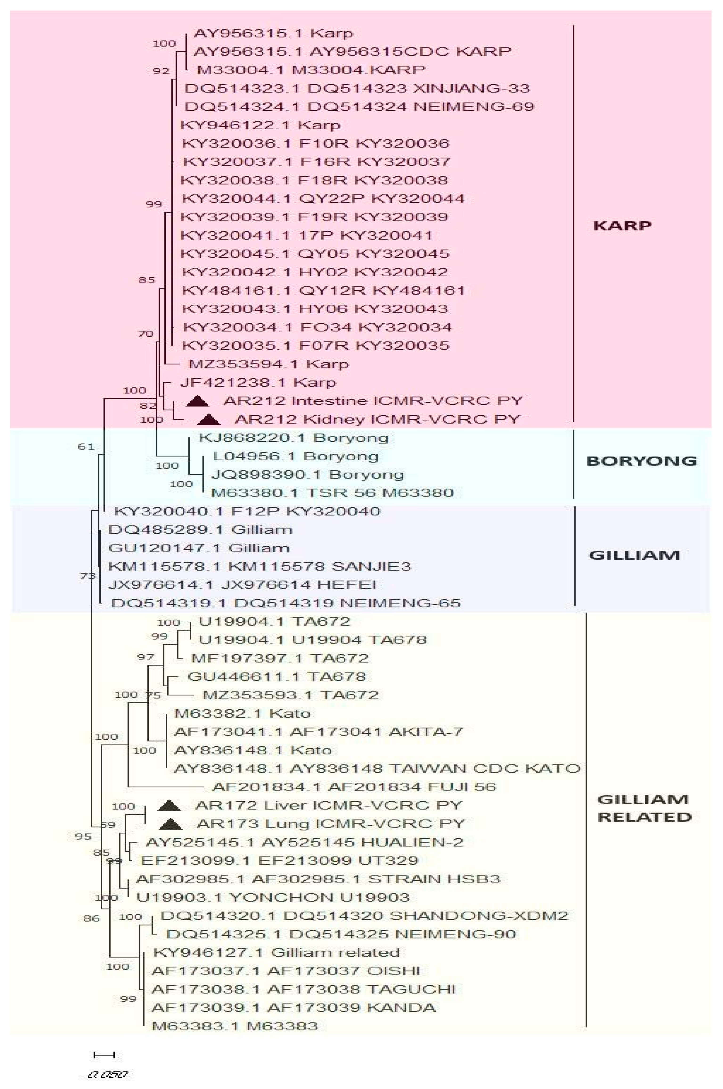 Microorganisms 12 00748 g005