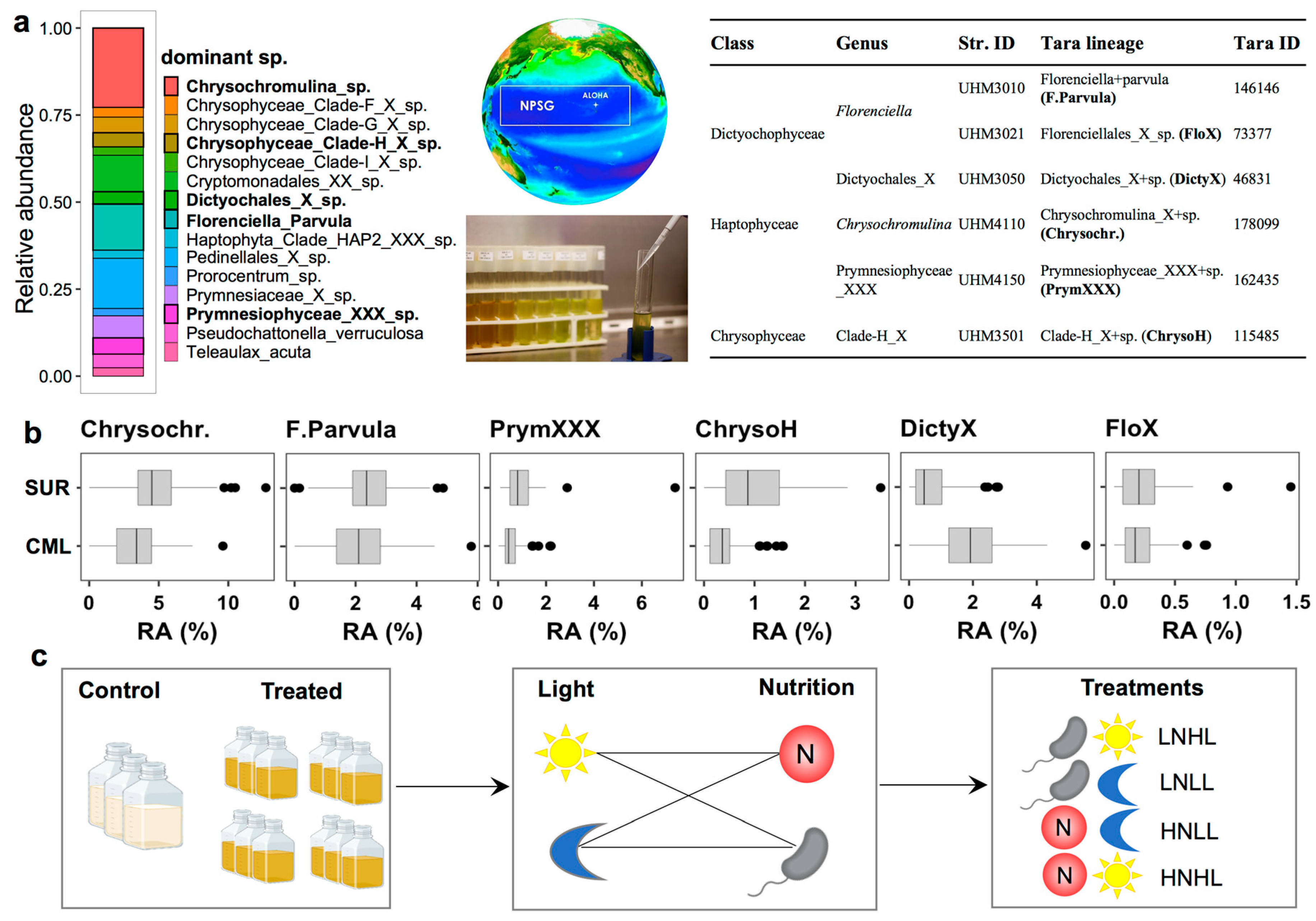 Microorganisms 12 00750 g005