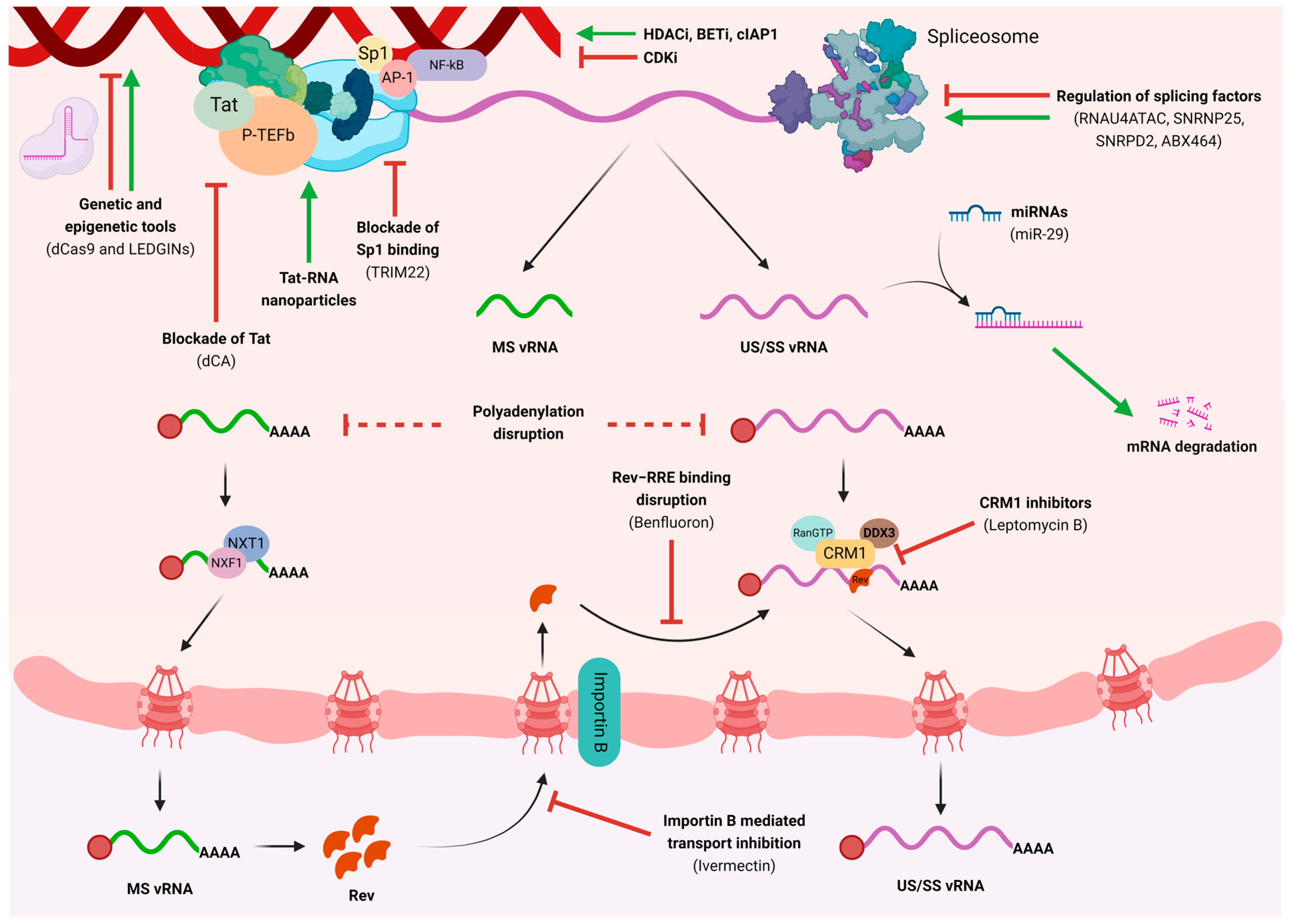 Microorganisms 12 00752 g002